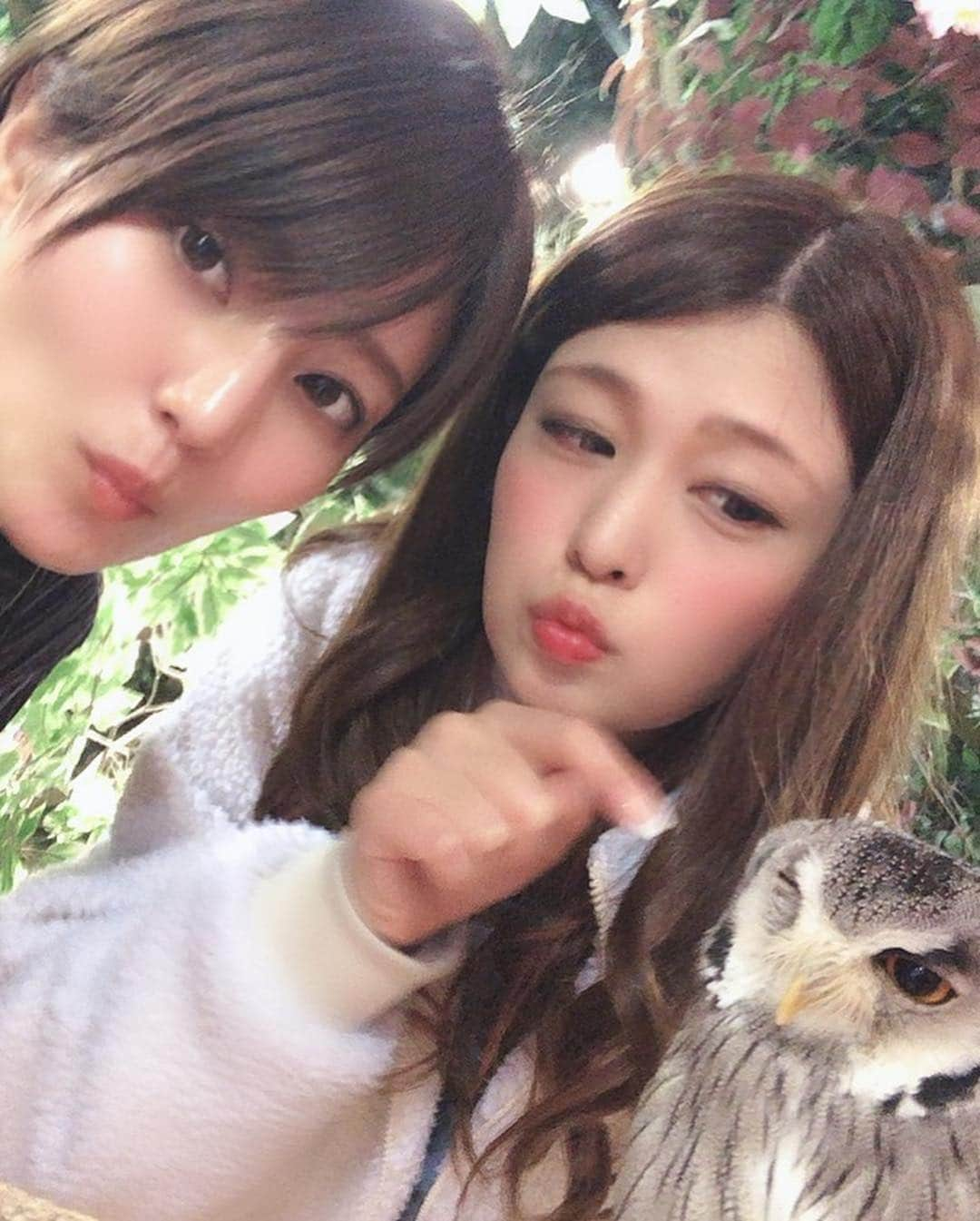 橘メアリーさんのインスタグラム写真 - (橘メアリーInstagram)「・ ・ 🦉🦉🦉🦉🦉🦉🦉🦉🦉🦉 お友達とフクロウカフェ？ (カフェじゃなかったけど) 行ってきたよー୨୧⑅*. かわゆかった！！ ・ ・ 豆柴も行ったから後日載せるね😇 ・ ・ #フクロウカフェ  #原宿 #harajuku  #橘メアリー #橘瑪麗  #セクシー女優 #dj ・ ・ 🦉🦉🦉🦉🦉🦉🦉🦉🦉🦉」3月7日 13時41分 - tachibanamary