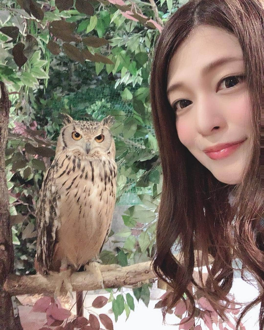 橘メアリーさんのインスタグラム写真 - (橘メアリーInstagram)「・ ・ 🦉🦉🦉🦉🦉🦉🦉🦉🦉🦉 お友達とフクロウカフェ？ (カフェじゃなかったけど) 行ってきたよー୨୧⑅*. かわゆかった！！ ・ ・ 豆柴も行ったから後日載せるね😇 ・ ・ #フクロウカフェ  #原宿 #harajuku  #橘メアリー #橘瑪麗  #セクシー女優 #dj ・ ・ 🦉🦉🦉🦉🦉🦉🦉🦉🦉🦉」3月7日 13時41分 - tachibanamary