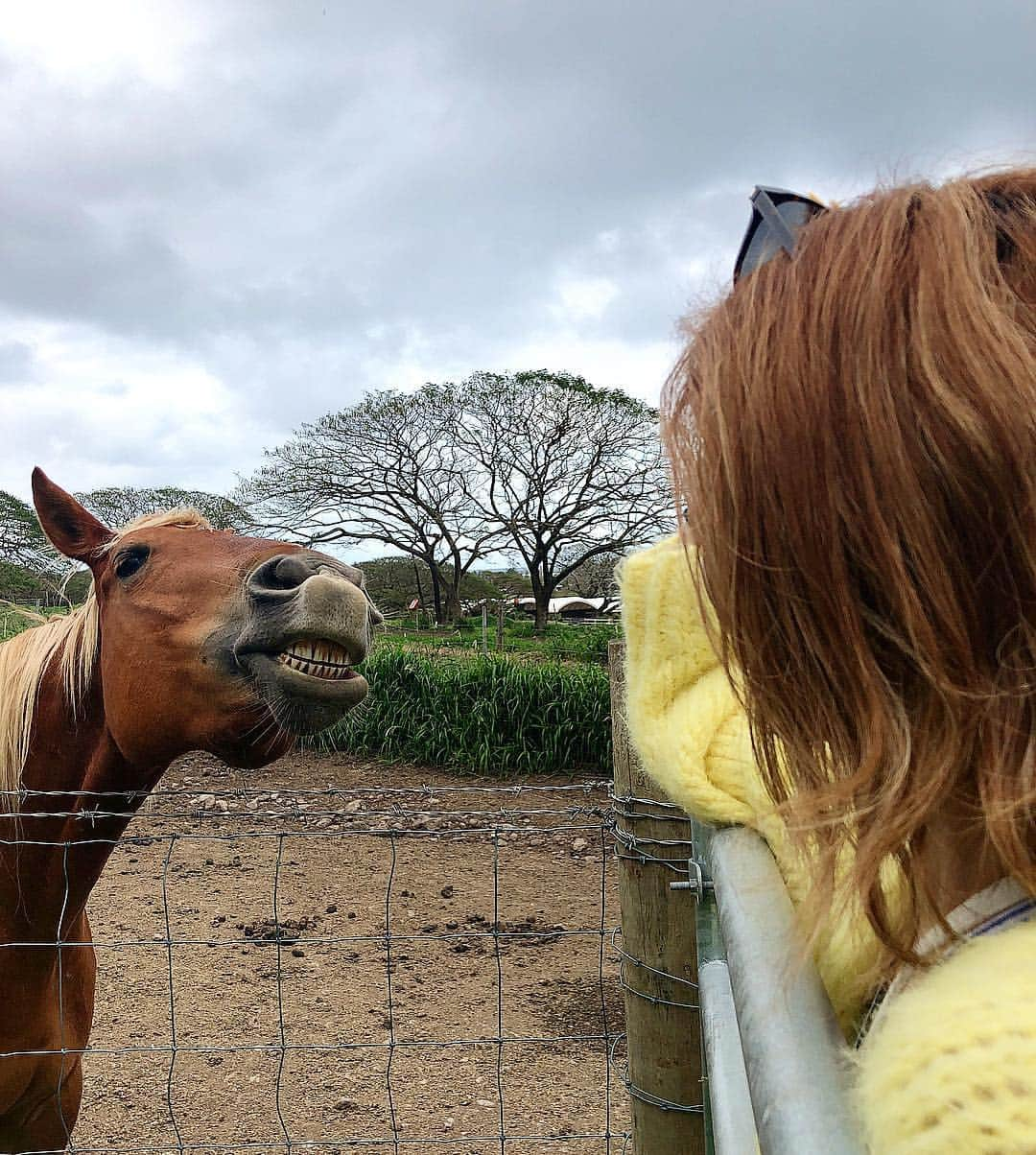 濱野りれさんのインスタグラム写真 - (濱野りれInstagram)「First time to see real horse🐴 He tried to close to me...soooo cute🐴💓 . 像に引き続き馬にもめちゃくちゃビビってたけど変な顔は載せない🙅‍♂️ でも馬の顔は載せちゃう！SWIPE! . . #kualoaranch#JurassicPark#shootingspot#naturephotography#naturephoto#explorehawaii#islandgirl#oahuhawaii#oahulife#hawaiistagram#lovetrip#tripstagram#horse🐴#🐴#constancemini#hermesconstance#chaneldress#chanellove#chanellovers  #クアロアランチ#映画ロケ地#ハリウッド#ジュラシックパーク#馬#コンスタンスミニ#2019ss」3月7日 17時08分 - riregram