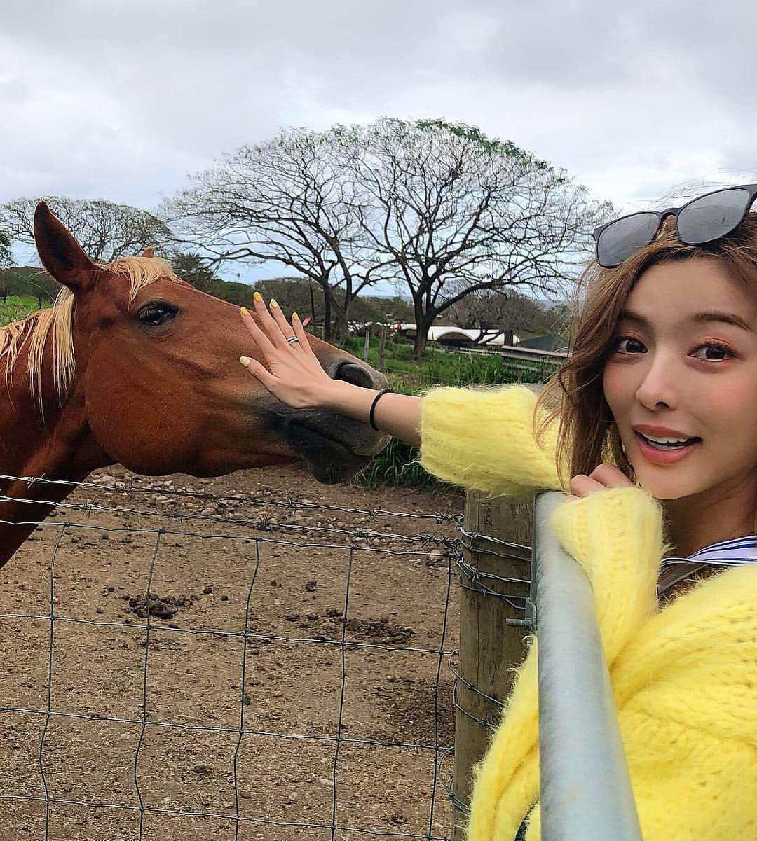 濱野りれさんのインスタグラム写真 - (濱野りれInstagram)「First time to see real horse🐴 He tried to close to me...soooo cute🐴💓 . 像に引き続き馬にもめちゃくちゃビビってたけど変な顔は載せない🙅‍♂️ でも馬の顔は載せちゃう！SWIPE! . . #kualoaranch#JurassicPark#shootingspot#naturephotography#naturephoto#explorehawaii#islandgirl#oahuhawaii#oahulife#hawaiistagram#lovetrip#tripstagram#horse🐴#🐴#constancemini#hermesconstance#chaneldress#chanellove#chanellovers  #クアロアランチ#映画ロケ地#ハリウッド#ジュラシックパーク#馬#コンスタンスミニ#2019ss」3月7日 17時08分 - riregram