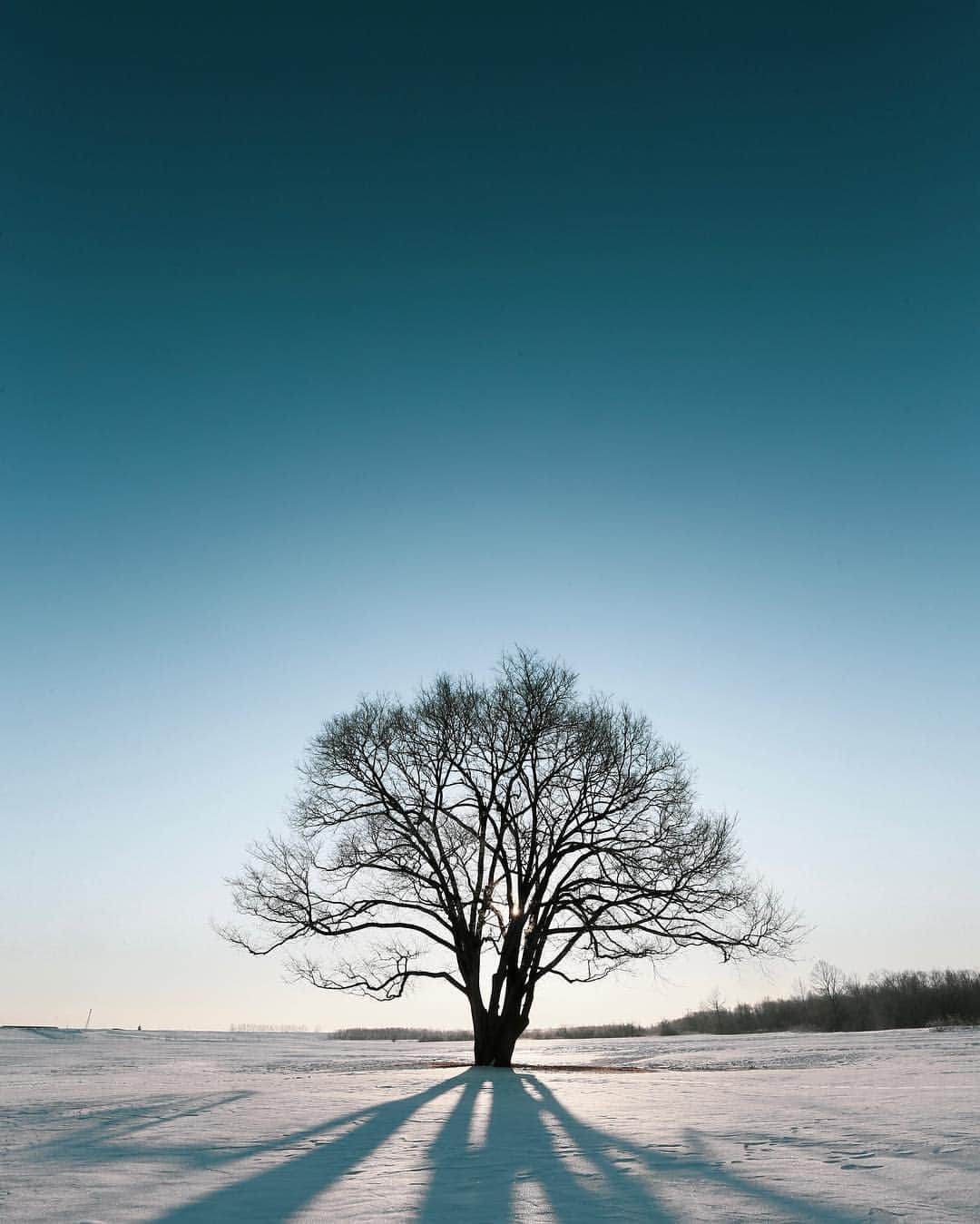 U2 Filmmakerのインスタグラム：「Long winter will over🌲❄️」