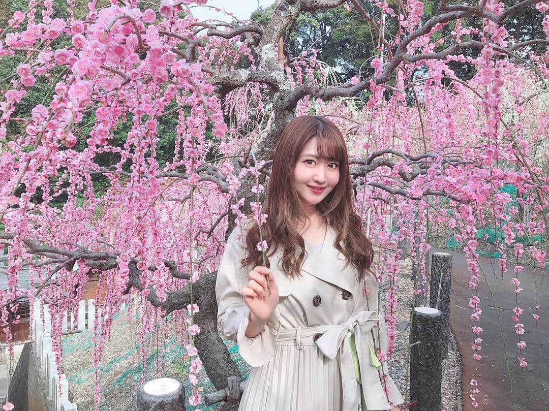 沢井里奈さんのインスタグラム写真 - (沢井里奈Instagram)「♡ . 大縣神社の梅まつり🌸✨ . ピンクと白のしだれ梅が とっても綺麗でした☺️💓💓 320本あるそうです、、😳❤️ . 9時半頃と少し早めに行ったのですが、 10時頃にはもうすごい人になってました🌟 たまたま早く起きれたからなんだけど 早めに行ってよかったです👒🌼💕💕笑 . #flower #beautiful #photogenic #outing #coordinate #fashion #ootd #rirandture #instafashion #makeup #instagood #instagramjapan #japanesegirl #梅まつり #大縣神社 #しだれ梅 #梅の花 #犬山市 #さわーおでかけ #さわーコーデ」3月7日 20時50分 - sawairina