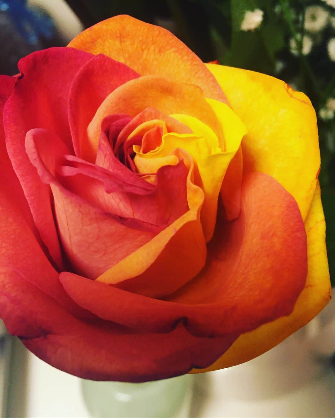 中村祥子さんのインスタグラム写真 - (中村祥子Instagram)「美しい花束✨✨ 綺麗に写真が撮れず、本当に申し訳ないですが、家の中にこんな素敵な花束があり、目にするだけでとても癒されます☺️ ありがとうございます✨✨#present #wonderful #flowers」3月7日 21時17分 - shoko_officialpage
