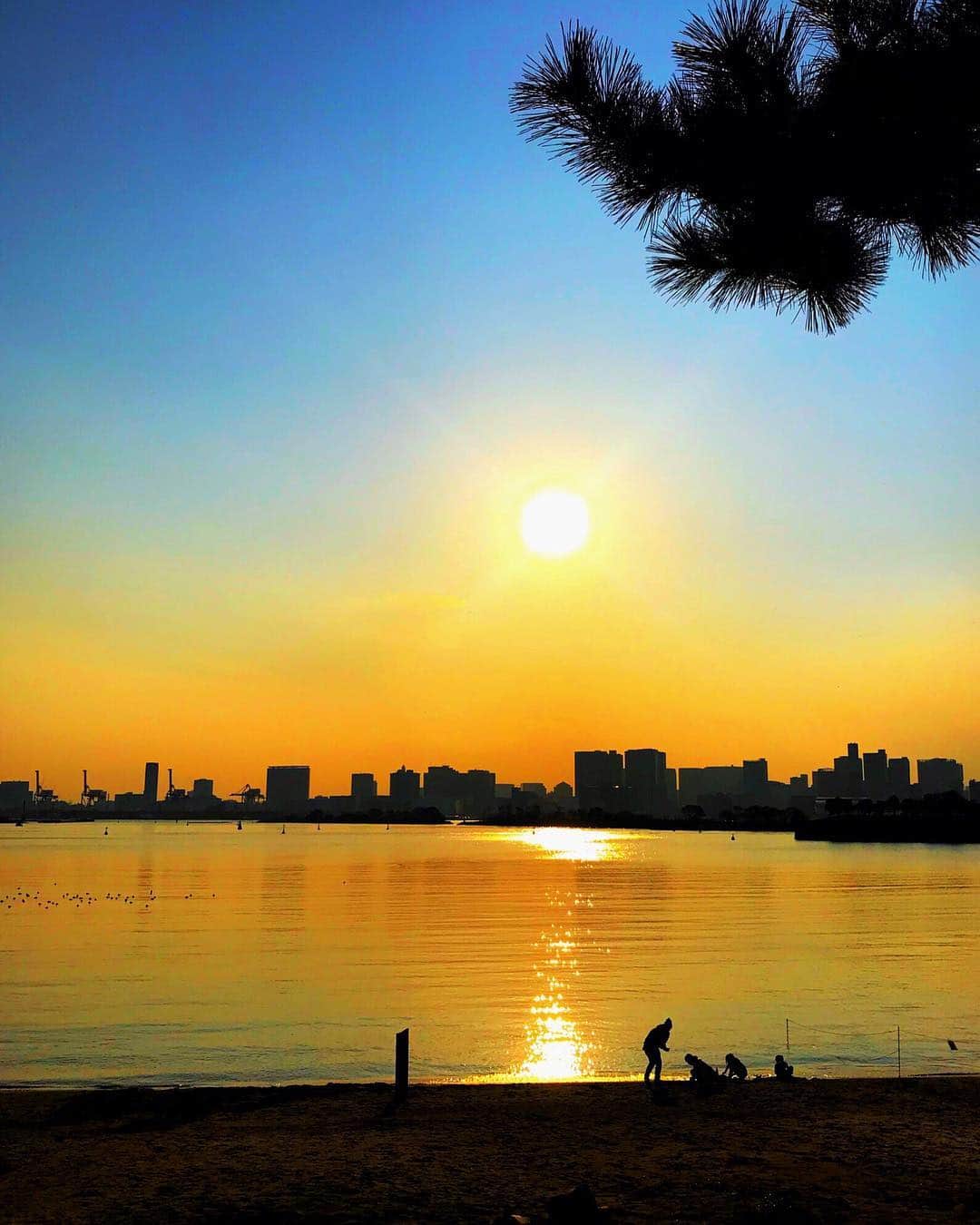 岡本杏理さんのインスタグラム写真 - (岡本杏理Instagram)「夕方散歩。 #お台場」3月7日 23時26分 - anri_okamoto