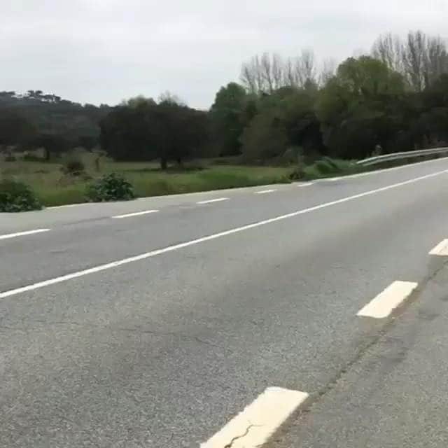 サミラ・ニコレットのインスタグラム：「Got asked many times what my favourite car is. I’ll let you guys guess that car in this video 😉」