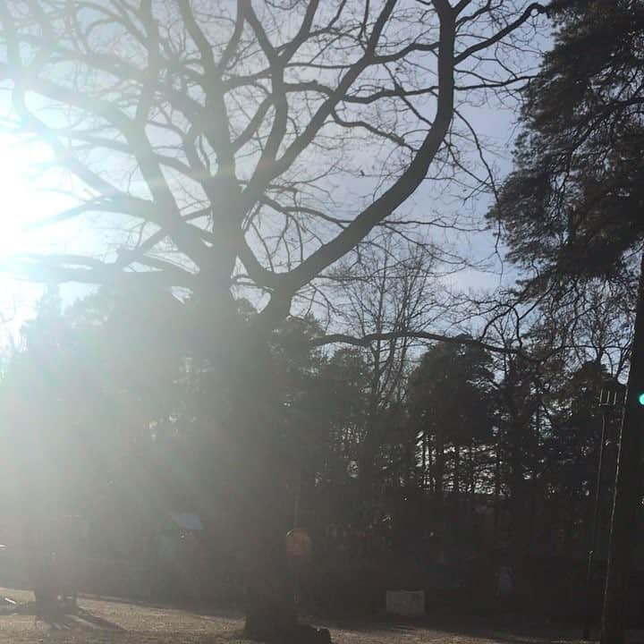 のインスタグラム：「🚶‍♂️」