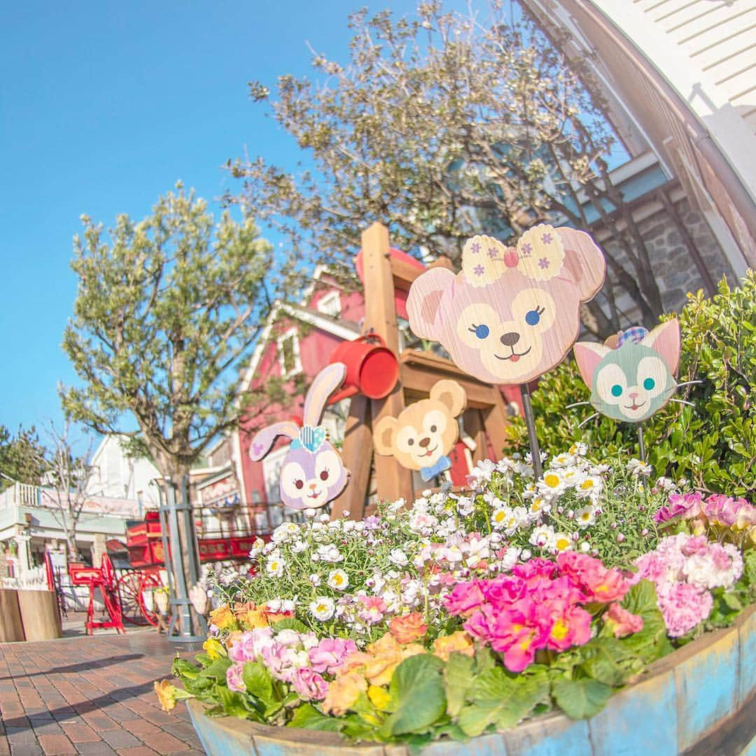 東京ディズニーリゾートさんのインスタグラム写真 - (東京ディズニーリゾートInstagram)「Time to enjoy a spring walk. ほっこり～♪ #duffy #shelliemay #gelatoni #stellalou #capecod #tokyodisneysea #tokyodisneyresort #spring #ダッフィーのハートウォーミングデイズ #ケープコッド #アメリカンウォーターフロント #東京ディズニーシー #東京ディズニーリゾート #ダッフィー #シェリーメイ #ジェラトーニ #ステラルー」3月8日 11時37分 - tokyodisneyresort_official