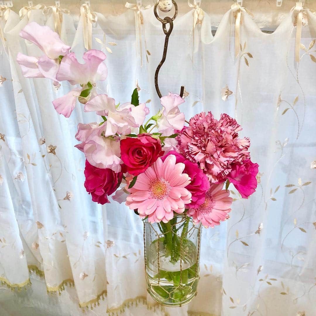 照沼ファリーザ（晶エリー）のインスタグラム：「撮影会で頂いたお花💐🌸 猫が食べちゃうから花瓶は吊るしている✩」