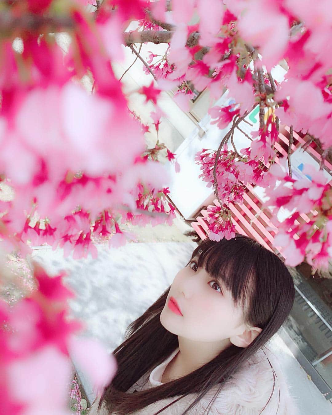 田中美久さんのインスタグラム写真 - (田中美久Instagram)「#美久の日  これからも応援よろしくお願いします！」3月9日 6時52分 - mikumonmon_48