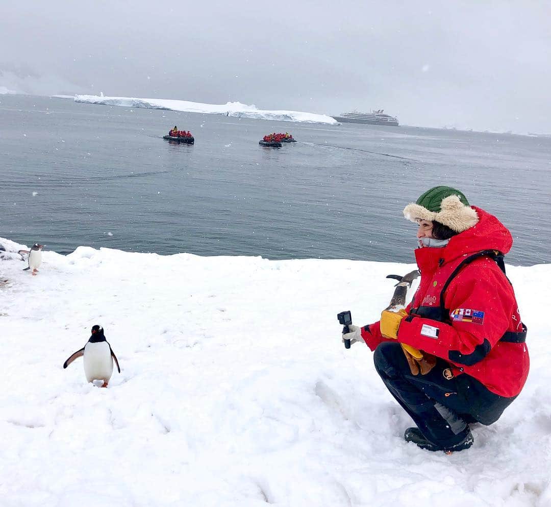 比嘉バービィさんのインスタグラム写真 - (比嘉バービィInstagram)「野生のペンギンを一度にた〜くさん見ることができる#南極 . 種類もいろいろで行動が特に面白い😂 ずっと眺めてられるアイドルのような存在に癒されたな♡ . . 番組では誰かに話したくなるペンギントリビアをご紹介します🐧  お楽しみに♪  #世界ふしぎ発見 #ふしぎ発見 明日夜9時〜放送 #ミステリーハンター  #antartica #ペンギン #Barby旅行記」3月8日 23時26分 - barby724