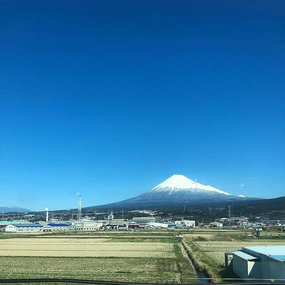 阿部優貴子さんのインスタグラム写真 - (阿部優貴子Instagram)「用事があり、ふらり京都。👘 バラダンで一緒の京都出身の彩音ちゃんに今の若者の流行を教えてもらい笑、少し観光も🙌️️😍 梅園のみたらし団子が私的に1番ツボでした🤤💘 * やっぱ京都っていつ行っても魅力的ですね。🥰 * #二寧坂 #アラビカコーヒー #抹茶館 #紅梅庵 #梅園みたらし団子 #富士山 #京都 #京都グルメ #kyotojapan #あべゆきtrip」3月9日 16時42分 - abe_yuki94