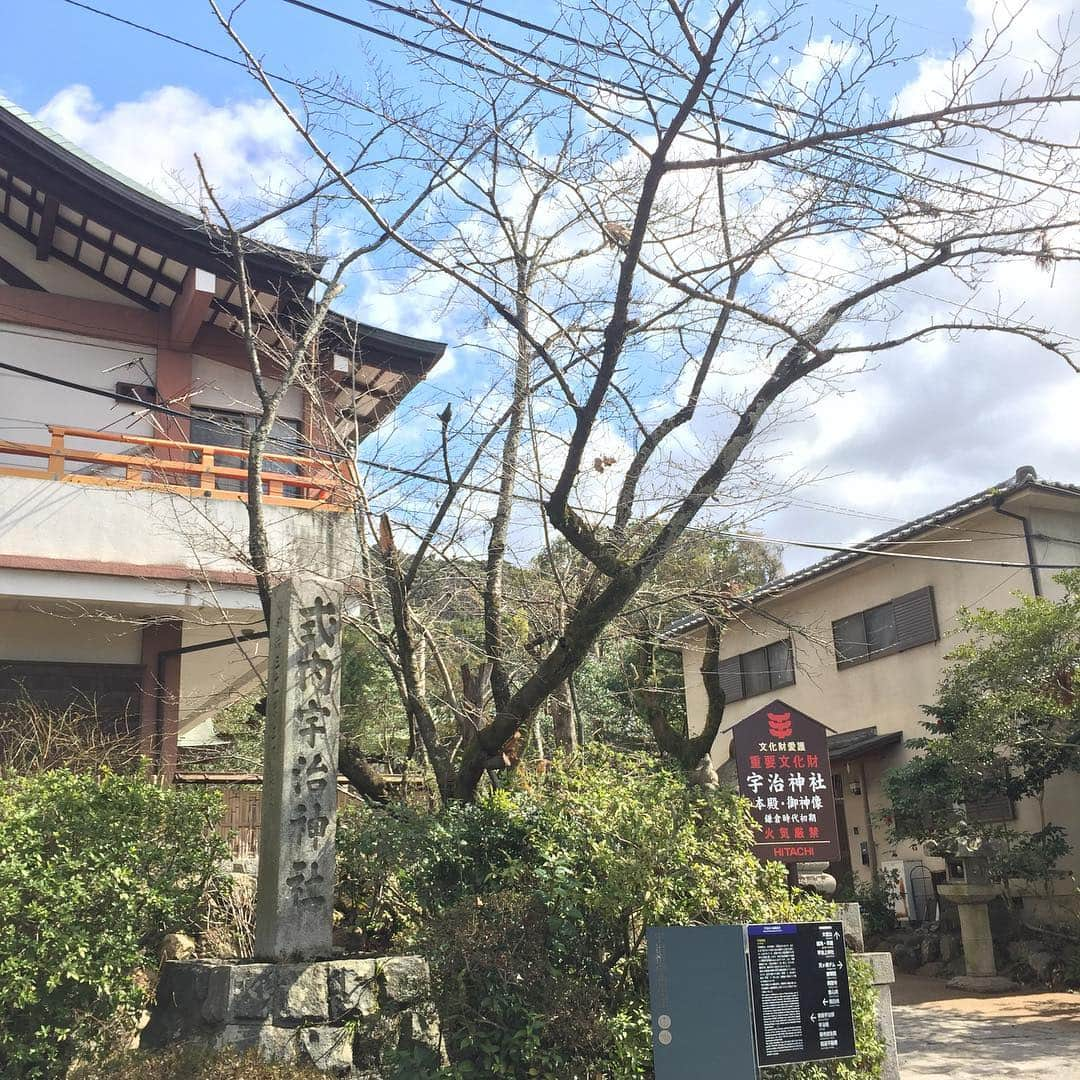 坂東亀三郎さんのインスタグラム写真 - (坂東亀三郎Instagram)「宇治の宇治上神社・宇治神社へ。 少し風が強く寒かったけど、プチ遠出に知らない土地での刺激、リフレッシュ出来た。  #御朱印 #御朱印帳 #彦印帳 #宇治上神社 #宇治神社 #歌舞伎 #音羽屋 #歌舞伎役者 #彦三郎 #坂東彦三郎 #九代目 #歌舞伎部 #otowayabando #彦さんぽ コメントはお気軽に📝」3月9日 9時17分 - otowayabando