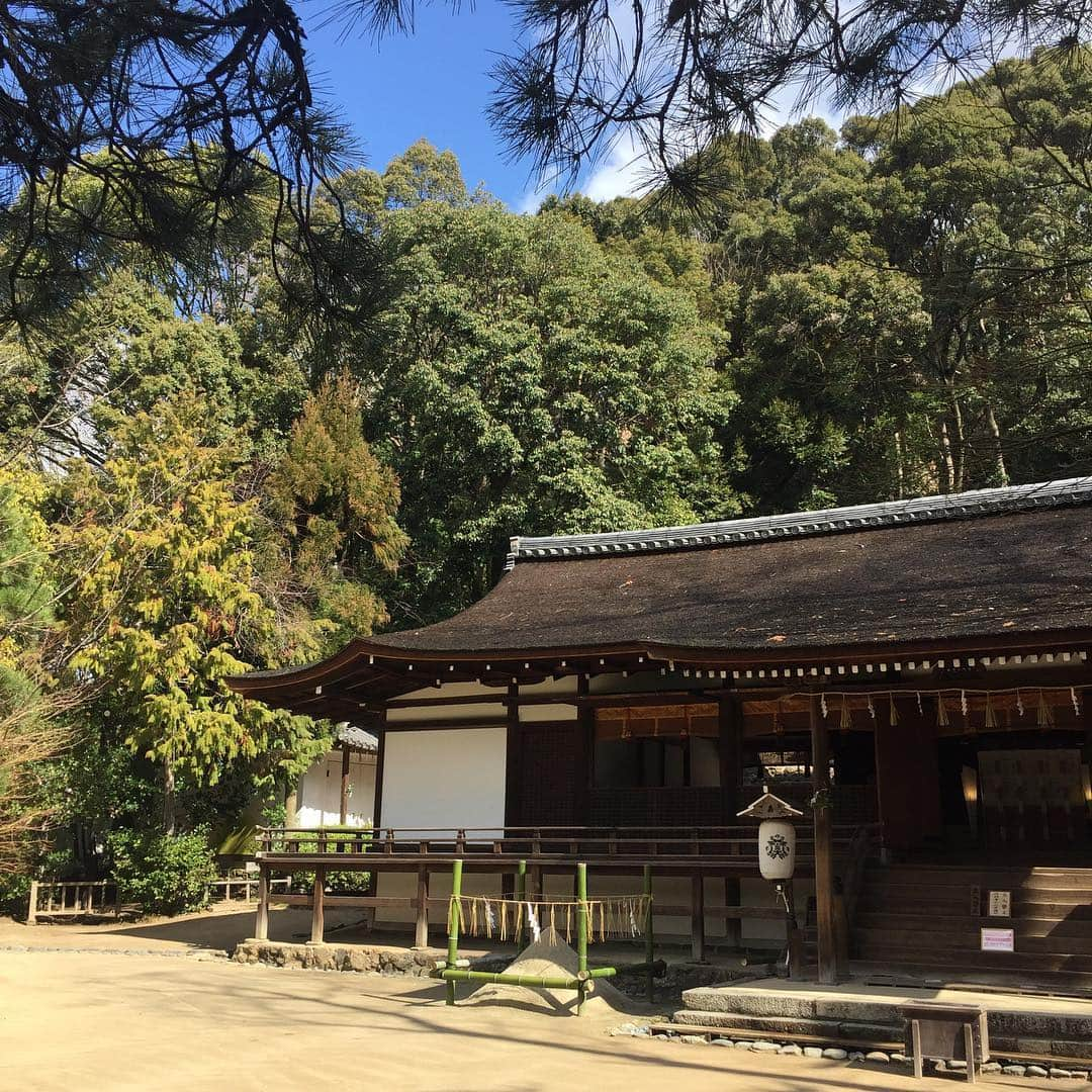 坂東亀三郎さんのインスタグラム写真 - (坂東亀三郎Instagram)「宇治の宇治上神社・宇治神社へ。 少し風が強く寒かったけど、プチ遠出に知らない土地での刺激、リフレッシュ出来た。  #御朱印 #御朱印帳 #彦印帳 #宇治上神社 #宇治神社 #歌舞伎 #音羽屋 #歌舞伎役者 #彦三郎 #坂東彦三郎 #九代目 #歌舞伎部 #otowayabando #彦さんぽ コメントはお気軽に📝」3月9日 9時17分 - otowayabando