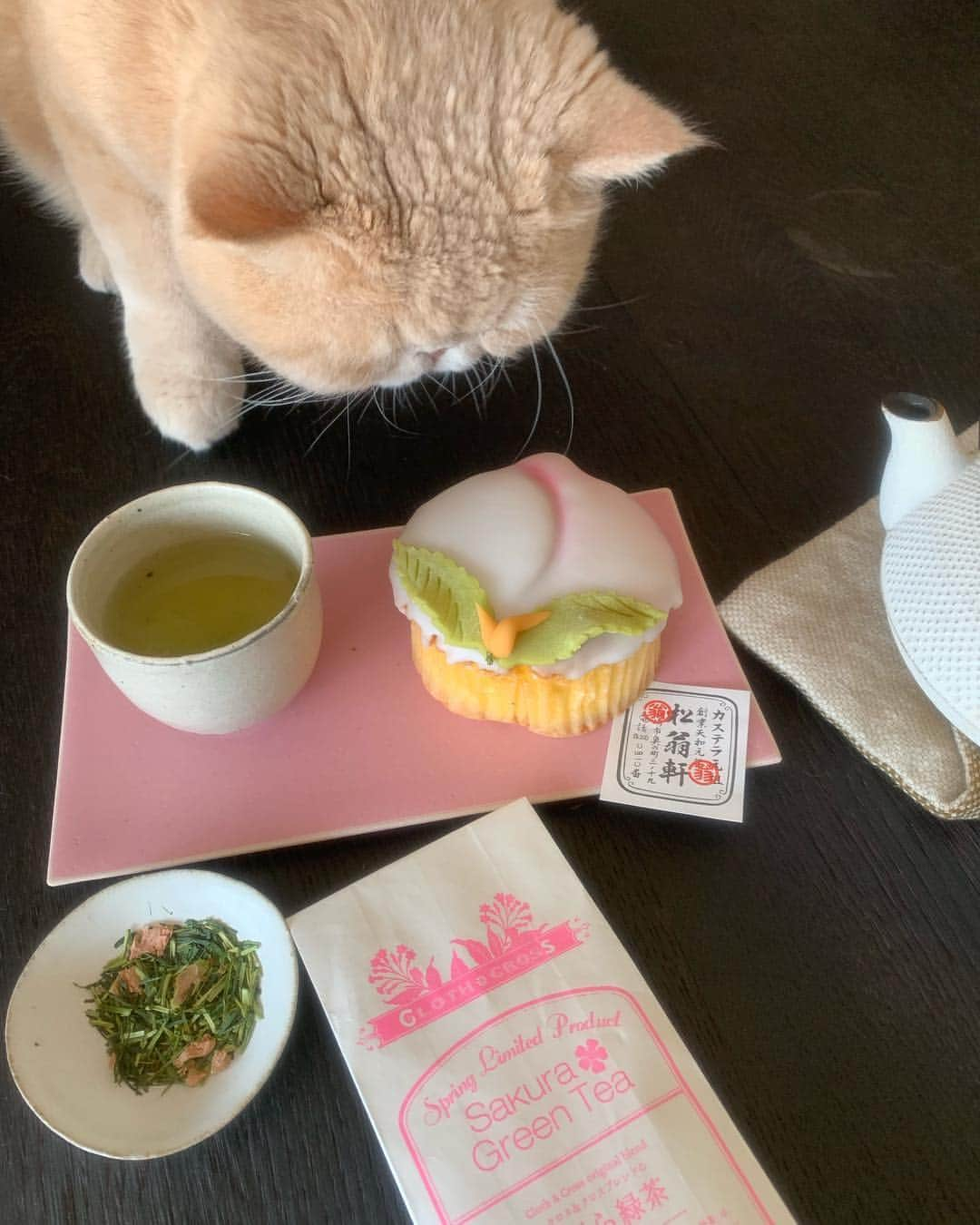 岡野瑞恵さんのインスタグラム写真 - (岡野瑞恵Instagram)「桃カステラ・さくら緑茶・メロンパン 朝のバリューセット！ #ありがとうございマッシュ #松翁軒 #さくら緑茶 #クロスアンドクロス #mash1126a  #マッシュのぺちゃんこライフ #cat #マッシュ #エキゾチックショートヘア #ねこ #ネコ #猫 #kitty #neko #猫部 #ねこ部 #ねこあつめ #にゃんだふるらいふ #猫莫迦 #catstagram #ExoticShorthair #catsofinstagram #catsosofinstagram #katten #kitten #instacat」3月9日 10時47分 - tamalin727