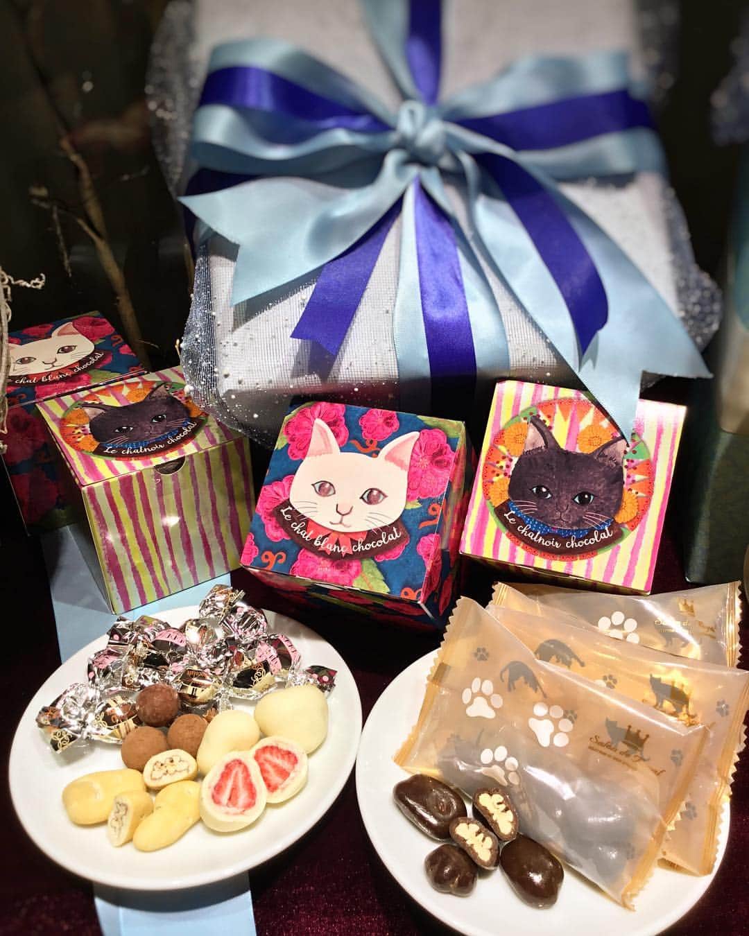 のインスタグラム：「. . 『neco pecan』 . ホワイトデーの猫ピーカンが新しく登場いたしました🌟 . ● Thank you neco box (黒猫) ・キャンディーコートピーカンナッツ ・ストロベリーチョコレート ・マスカルポーネボールチョコレート ・ココアミルクチョコレート ● neck pecan ビター (白猫) ・キャンディーコートされたピーカンナッツをビターチョコレートでコーティング。 ビターチョコレートのほろ苦さが、ピーカンナッツのコクと甘みを引き立てます。 . とても可愛い猫のパッケージです💓 ぜひバレンタインのお返しにもお使いくださいませ✨ . . . ◎ 喫茶閉鎖期間のご案内 ◎ . 喫茶閉鎖期間：2019/3/8（金）～2019/3/14（木）7日間 3/15（金）より通常通り営業いたします。 . ホワイトデーの期間中は店内混雑が予想されるため、喫茶を閉鎖し営業をいたします。 喫茶のクローズに伴い、生ケーキの取り扱いもございません。 皆様には、ご迷惑をお掛け致しますが、ご理解とご協力の程、お願い申し上げます。 . . . #サロンドロワイヤル京都 #サロンドロワイヤル #京都 #京都スイーツ #ボンボンショコラ #京都カフェ #チョコレートショップ #ショコラトリー #パティスリー #チョコレート #チョコ #ショコラ #chocolate #chocolat #chocolatier #salonderoyal #猫 #ねこ #ホワイトデー #ホワイトデーお返し #ギフト #ナッツ」