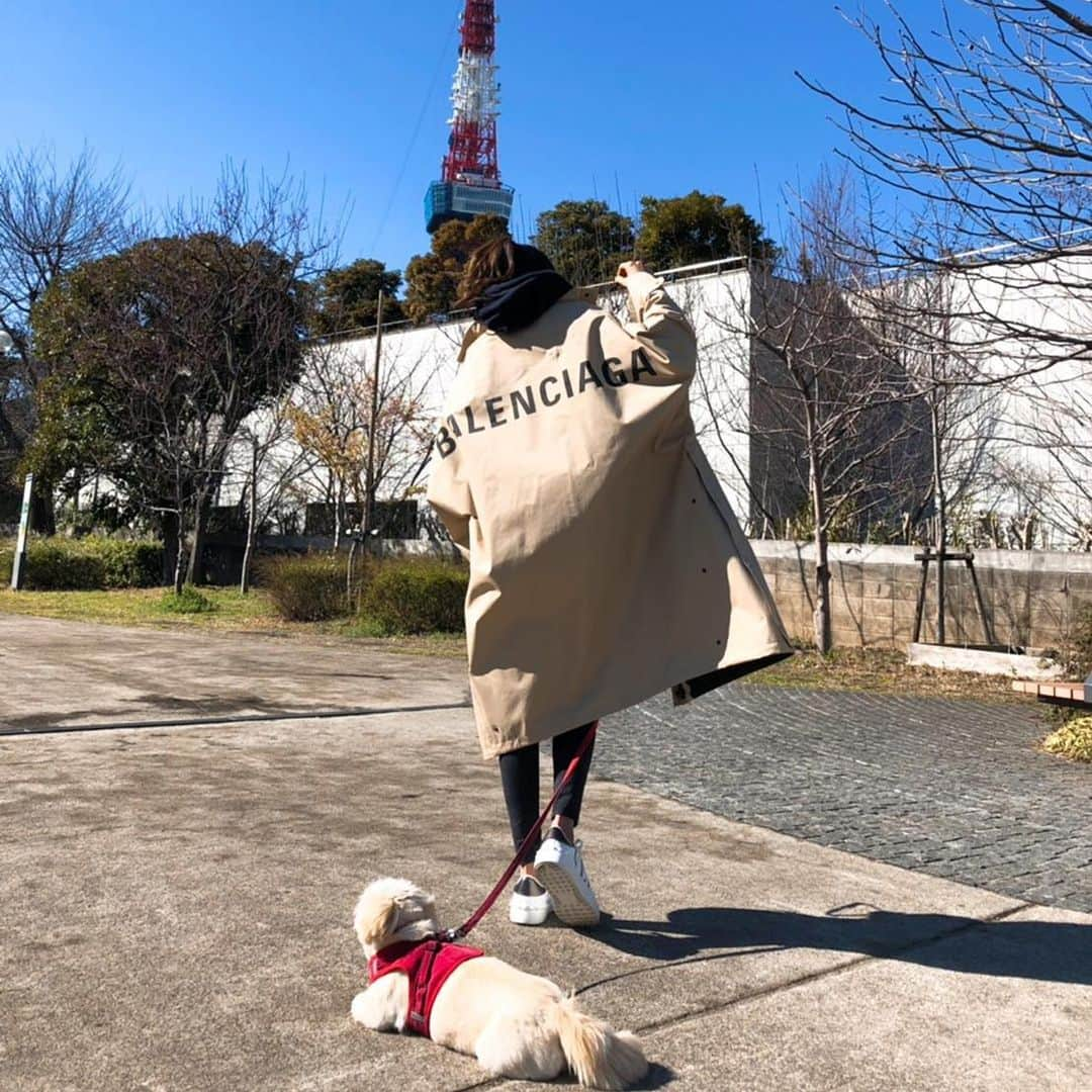 池田ゆりさんのインスタグラム写真 - (池田ゆりInstagram)「お天気よいからお散歩🧡 新しいお洋服と靴でテンションあがる✨  #walking #pekingese #balenciaga #valentine #instagood #tokyotower #spring #fitness #fitnessmotivation #산책 #헬스」3月9日 13時58分 - yuri_hj_726