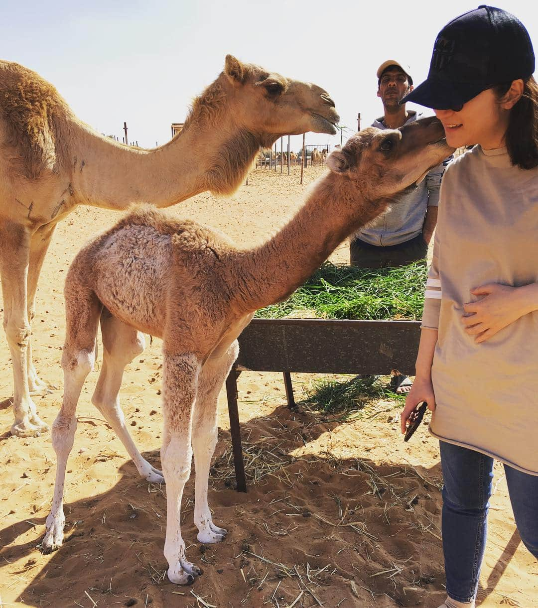 神尾葉子さんのインスタグラム写真 - (神尾葉子Instagram)「いま、UAEのアルアインのお友達はなももさん@desertlifeinuaeの家に遊びに来てます。生後2週間のラクダの赤ちゃんとご対面。人懐っこくてめっちゃカワイイです。  @hanamomoact #はなももさんの家 #アルアイン #砂漠に棲む」3月10日 2時14分 - yoko.kamio