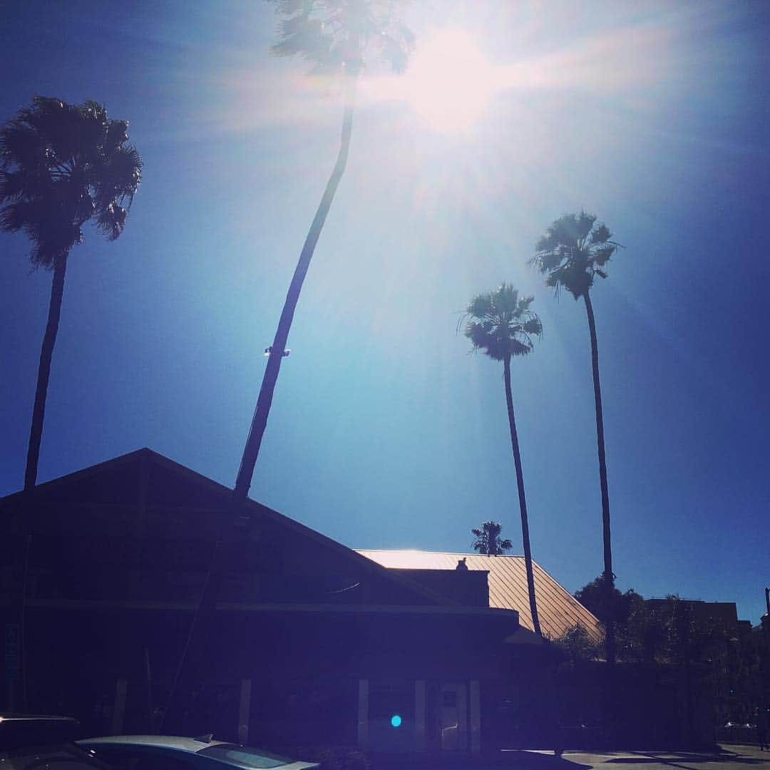 山崎千裕さんのインスタグラム写真 - (山崎千裕Instagram)「#mytrip #losangeles #niceweather #nicepeople」3月9日 20時39分 - chiroyamazaki