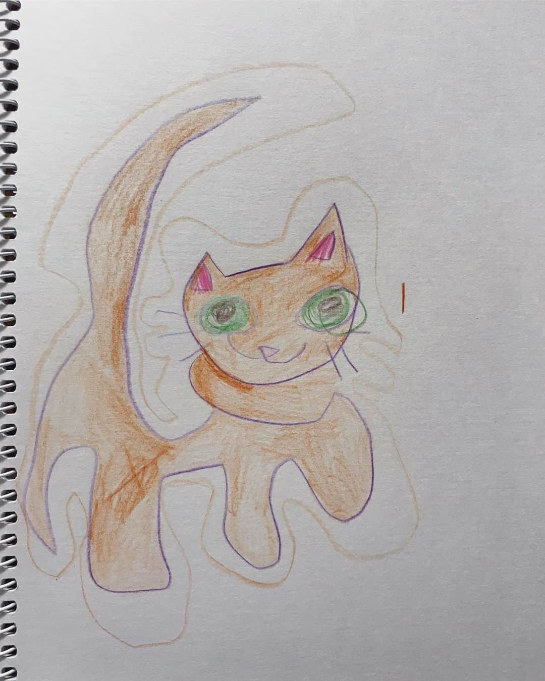 高見まなみのインスタグラム：「今年に入ってから、息子が描いたもの。 お絵かきや製作、ブロックがひたすら好きで、何時間でも遊んでいます。 紙、おりがみ、テープ、色鉛筆の消費量が本当にすごい。 4歳も後半になって、なんだか一気に人間っぽくなった息子。（これまでは動物的だったのに）  お久しぶりの投稿なのに、親ばか全開…🙈 . . （猫が大好き、 自分が太鼓しているところ、 毎日一緒に寝ているレッサーパンダ、 自分が猫になったら、 パパの似顔絵が似ている、 ウルトラマンの武器）  #4歳男子 #お絵かき」