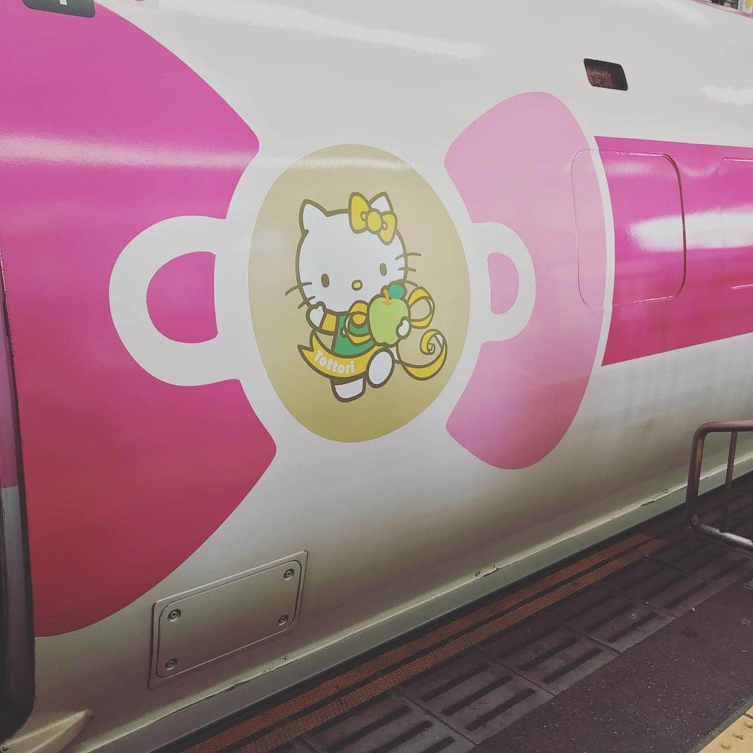 佐野優子のインスタグラム：「🎀 今日乗った新幹線、キティちゃん号だった🚄₍˄ุ.͡˳̫.˄ุ₎ฅ˒˒⑅﻿ . 前の方の列車のKAWAII roomとかすごい気になる🧐 . #新幹線#shinkansen  #hellokitty #hellokittytrain  #kawaiiroom」