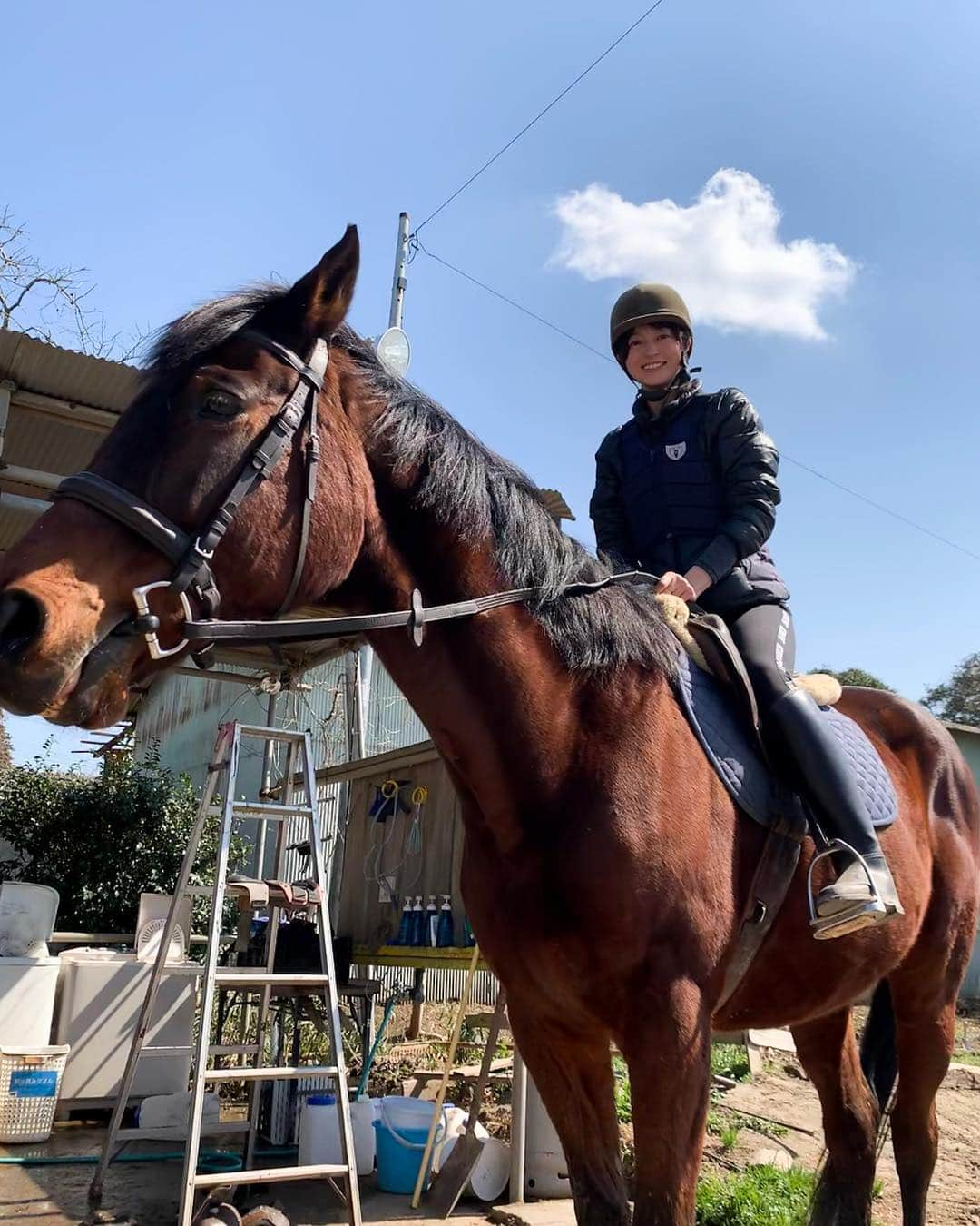 小林涼子さんのインスタグラム写真 - (小林涼子Instagram)「. やる事は 先延ばしにせず攻める ぱかぱか 🐴 🏇 #乗馬 #乗馬ファッション #乗馬女子 #乗馬体験 #馬 #馬術 #horse #horseriding #horserider #practice #forjob #capacitytest #tomorrow #할일이많아 #열심히 #공부 #봄 #봄날」3月9日 22時33分 - ryoko_kobayashi_ryoko