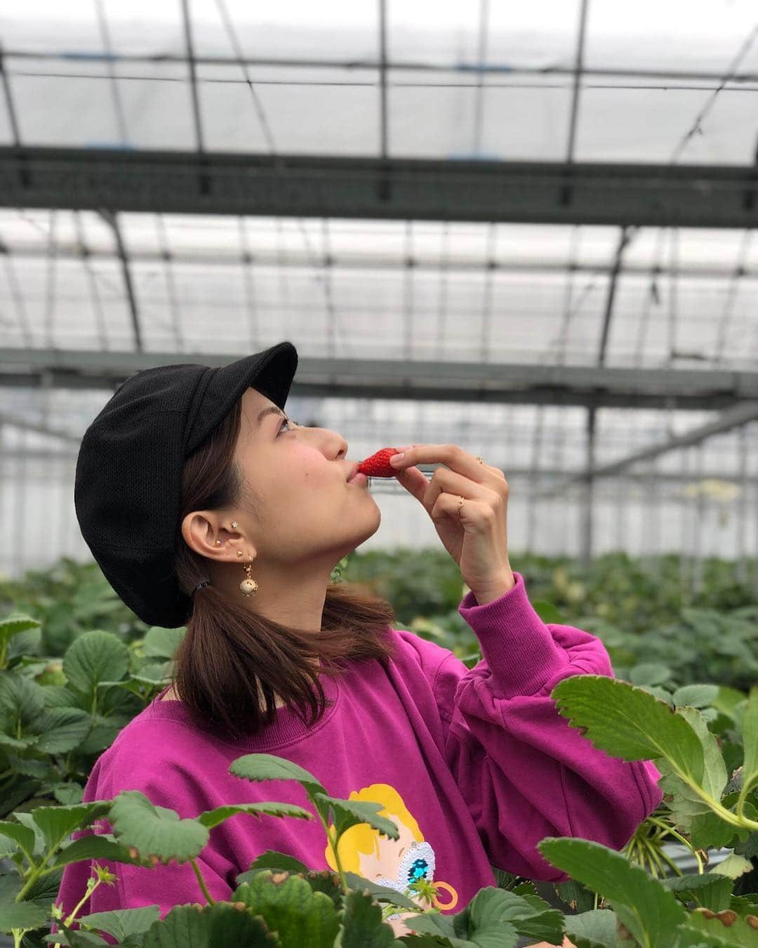 天野麻菜さんのインスタグラム写真 - (天野麻菜Instagram)「いちご狩りって初めてだった🍓 30分があっという間だった。 すごい勢いで食べた。 甘くて美味しかった🍓 また行きたいなあ🍎 #いちご狩り #静岡県 #初めて #行きました #楽しい #いちご #甘い #美味しい #食べて #撮って #忙しい #あっという間 #30分 #めっちゃ #食べた」3月9日 23時00分 - akaringo_mana