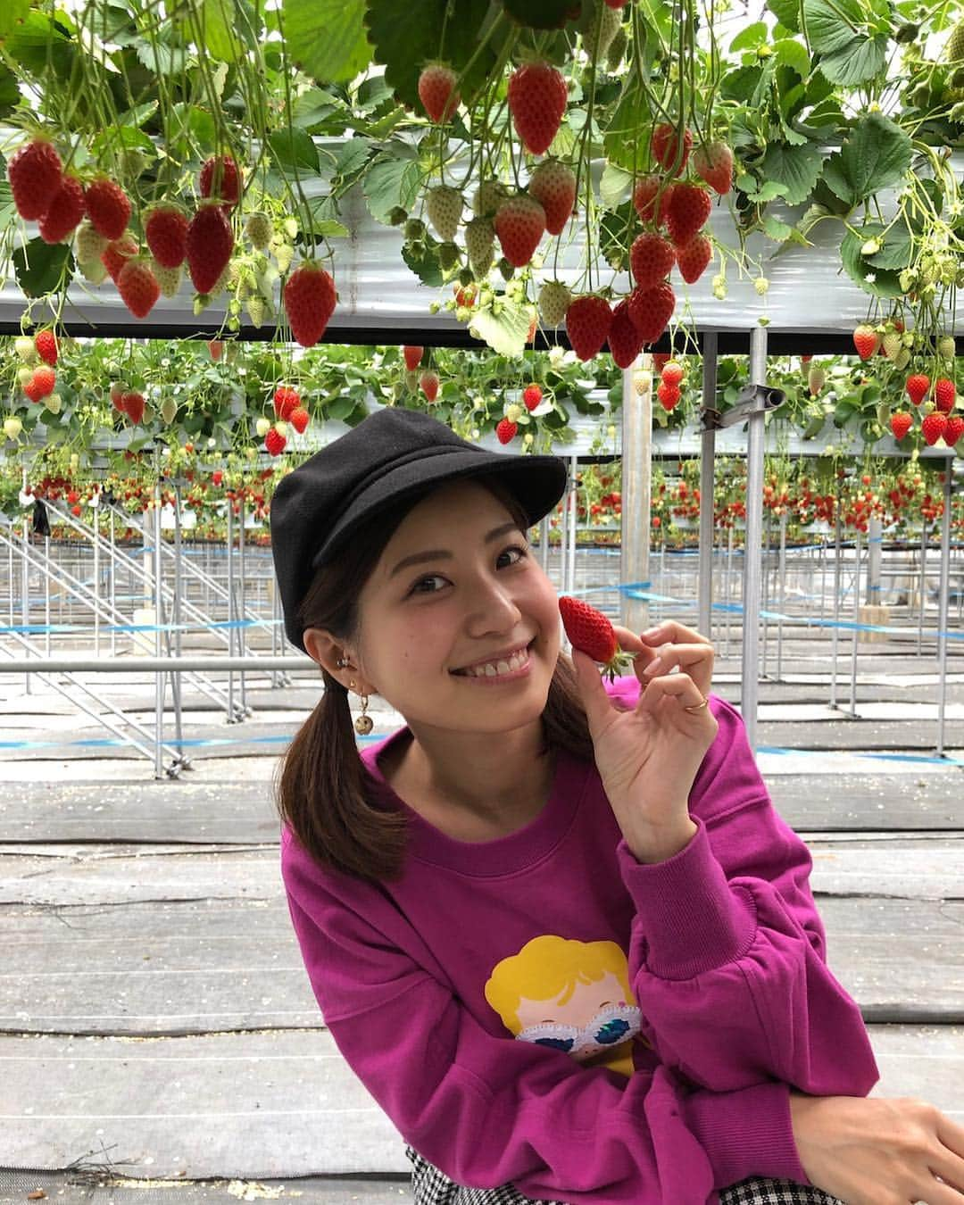 天野麻菜さんのインスタグラム写真 - (天野麻菜Instagram)「いちご狩りって初めてだった🍓 30分があっという間だった。 すごい勢いで食べた。 甘くて美味しかった🍓 また行きたいなあ🍎 #いちご狩り #静岡県 #初めて #行きました #楽しい #いちご #甘い #美味しい #食べて #撮って #忙しい #あっという間 #30分 #めっちゃ #食べた」3月9日 23時00分 - akaringo_mana