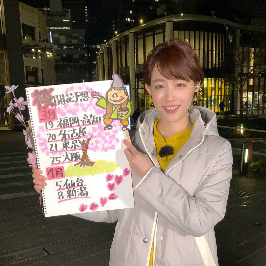 新井恵理那さんのインスタグラム写真 - (新井恵理那Instagram)「お花見の予定を立てませんかー？？#新情報7daysニュースキャスター #お花見 #新井恵理那」3月9日 23時58分 - elina_arai