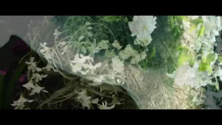 のインスタグラム：「【マサブログ更新】 . 平成最後の‪3月10日‬は。 . やっぱり . 「正人の日」  何故にこうなったかは、  ドリブログ2014.03.10を  やっぱり参照してね。  で、  今までずっと  俺が言いたかったことは  吉田さんが . 『 THE WAY I DREAM 』  の詩に込めてくれた。  何を言われようが  どう思われようが  真実が  名乗らぬ悪意によって  ねじ曲げられようが、  たまに  弱気になって  ぶれぶれになるけど、  俺達の音楽に触れてくれた  人達を信じて、  これから、  これからでも、  俺達の音楽に触れてくれる  人達との出会いを  楽しみにして  音楽してゆくのです。  #‪3月10日‬ #正人の日 #MST #DREAMS_COME_TRUE #THE_WAY_I_DREAM #MTG」