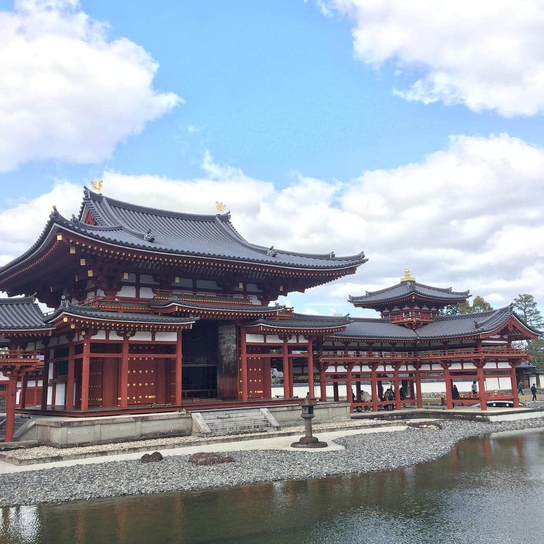 坂東亀三郎さんのインスタグラム写真 - (坂東亀三郎Instagram)「宇治上神社・宇治神社の後は平等院へ。  10円玉と1万円札の建物。 お寺の庭、好き。 帰りにお抹茶頂きました。←写真撮るの忘れた(^_^;) ・  #御朱印 #御朱印帳 #平等院 #彦印帳 #歌舞伎 #音羽屋 #歌舞伎役者 #彦三郎 #坂東彦三郎 #九代目 #歌舞伎部 #otowayabando #彦さんぽ コメントはお気軽に📝」3月10日 6時57分 - otowayabando