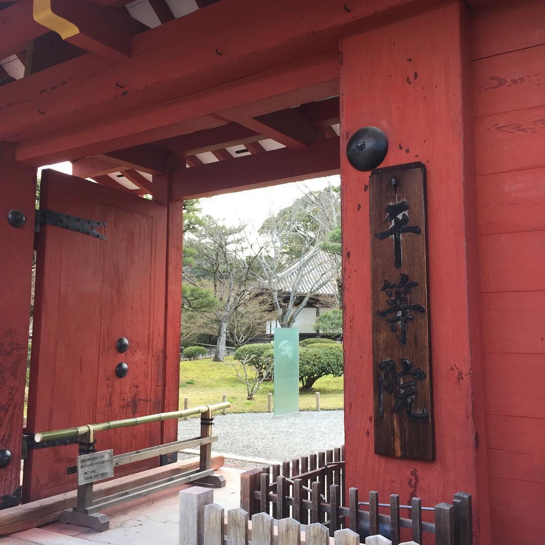のインスタグラム：「宇治上神社・宇治神社の後は平等院へ。  10円玉と1万円札の建物。 お寺の庭、好き。 帰りにお抹茶頂きました。←写真撮るの忘れた(^_^;) ・  #御朱印 #御朱印帳 #平等院 #彦印帳 #歌舞伎 #音羽屋 #歌舞伎役者 #彦三郎 #坂東彦三郎 #九代目 #歌舞伎部 #otowayabando #彦さんぽ コメントはお気軽に📝」