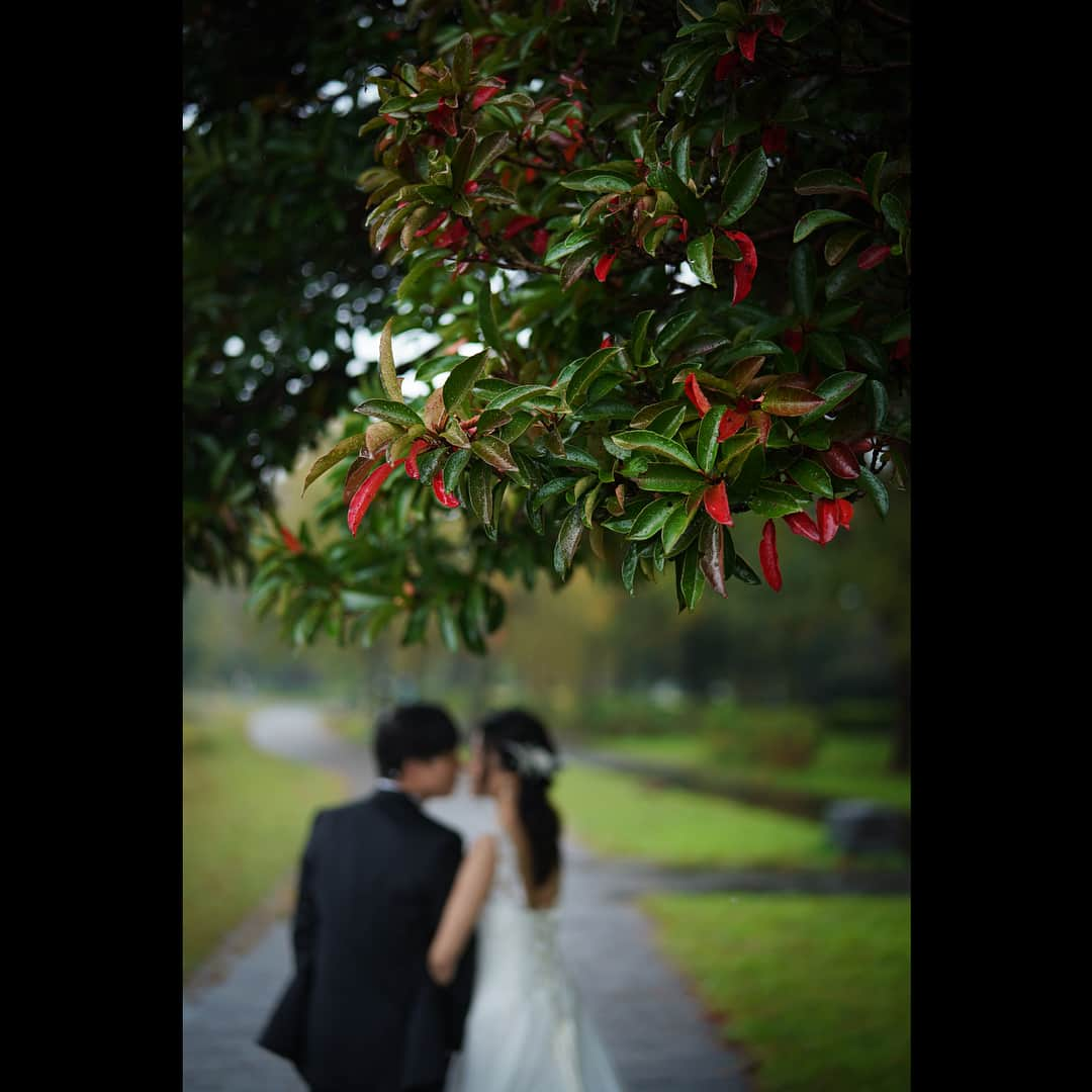 StudioAQUA TOKYOBAYさんのインスタグラム写真 - (StudioAQUA TOKYOBAYInstagram)「. みんなで頑張りました。 . Series K&J . Interpreter Hiroko Urata @d_weddingphoto_jp Photographer @hiroyoshishima Hair and makeup Shoko Nemoto . #sonya7iii  #studioaquatokyobay #最後の日まで #スタジオアクア東京ベイ #光と影 #プレ花嫁  #卒花 #結婚式準備 #結婚式写真 #ウェディングドレス #和装 #関東花嫁 #東京駅前撮り #後撮り #撮影指示書 #ロケーションフォト #花嫁ヘア #美容師 #ヘアメイク #ウェルカムボード #ポートレート #チェリフォト #プラコレ #2019夏婚 #2019春婚 #写真好きな人と繋がりたい  #日本中のプレ花嫁さんと繋がりたい #全国のプレ花嫁さんと繋がりたい #東京タワー #rainyday . @studioaqua_tokyobay @decollte_weddingphoto @d_weddingphoto_jp」3月10日 8時59分 - studioaqua_tokyobay