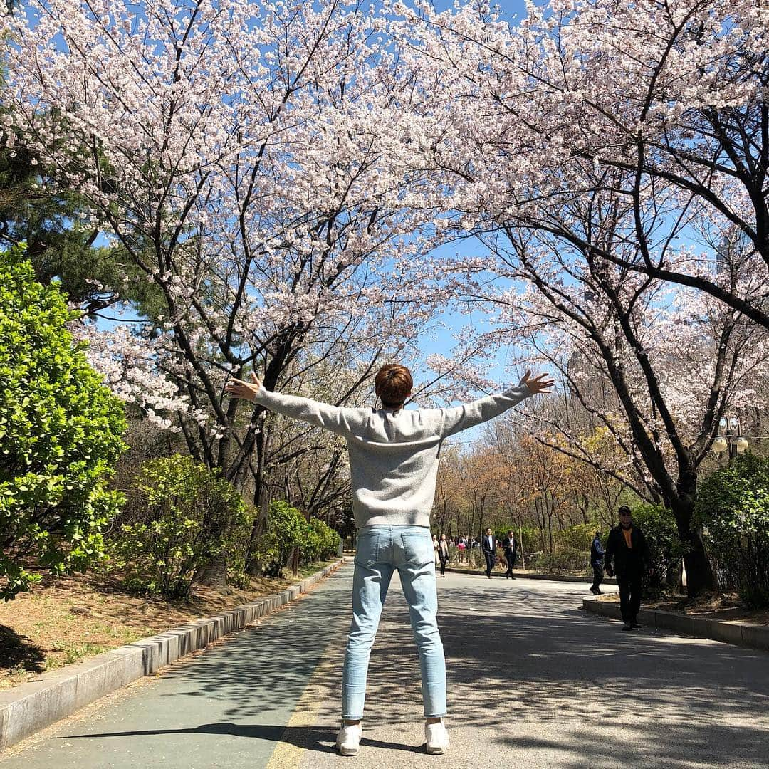 キム・ジョンモさんのインスタグラム写真 - (キム・ジョンモInstagram)「봄이왔다🌸#나에게봄은언제🤔」4月8日 13時43分 - pureandsexy