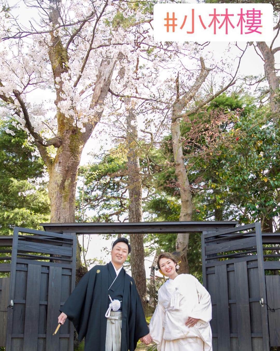 小林樓《新潟県見附市：結婚式場》のグルメインスタ