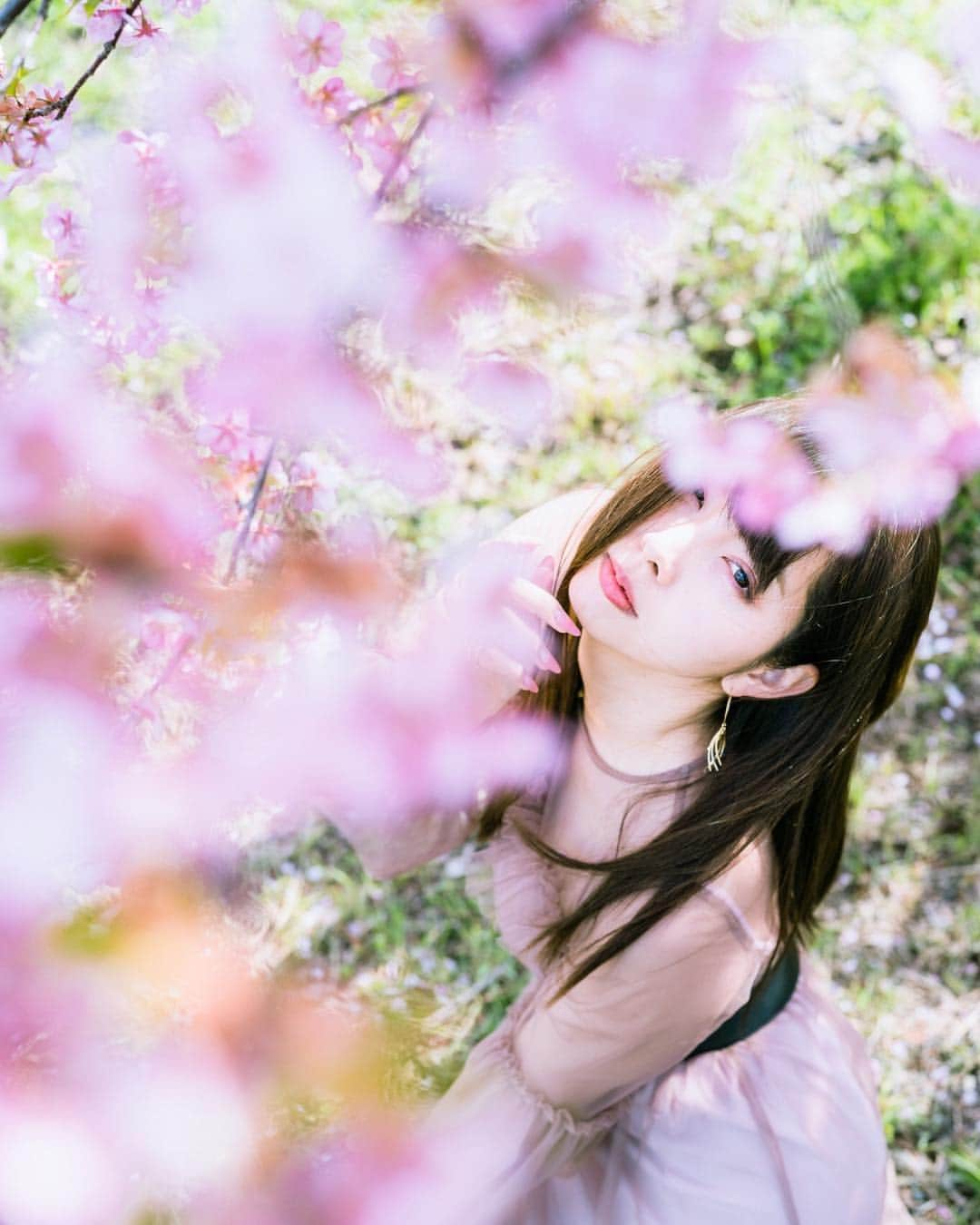 高田世莉菜さんのインスタグラム写真 - (高田世莉菜Instagram)「桜🌸今年も出会えて良かった😊 今日から東京入り🗼お知らせも近々あります… 📸 @toru_matsunaga  #igers  #japan_photo_now #good_portraits_world  #closeupphotography  #closeup_archive  #500px  #1x #team_jp_  #art_of_japan_  #lovers_nippon  #ig_phos  #tokyocameraclub  #instagramjapan  #japan_of_insta  #japan_art_photography #instagram #igersjp  #ig_japan #ビジョビ  #palinka」4月8日 13時59分 - serina_0531