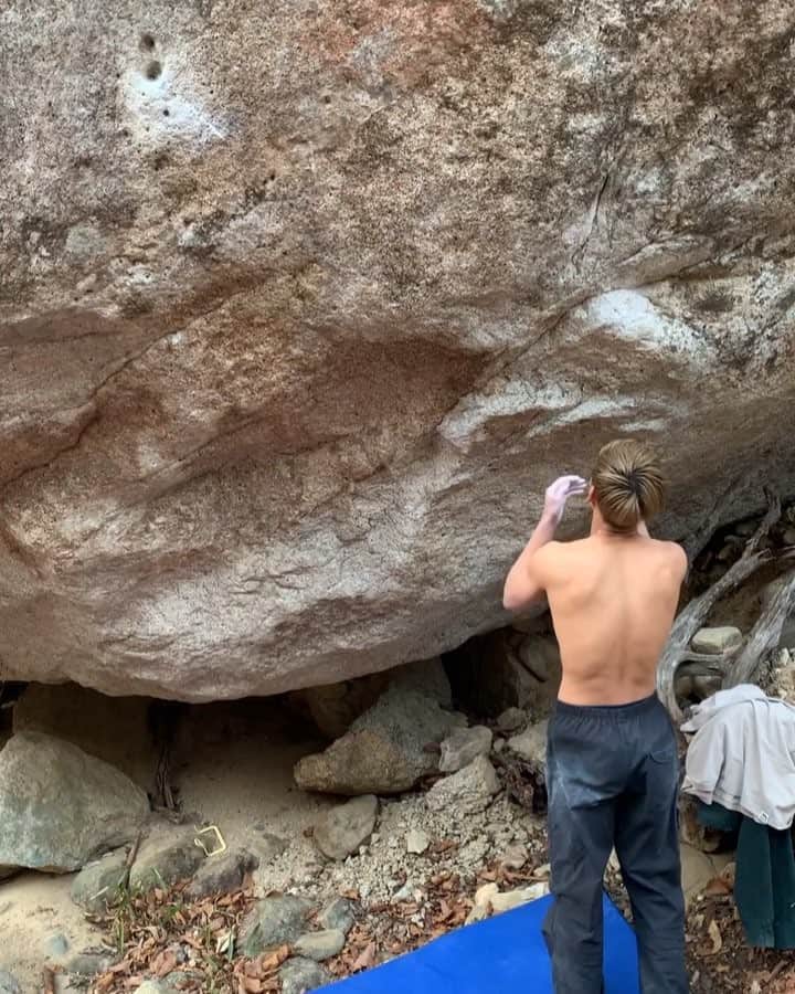 のインスタグラム：「I managed to climb Butterfly Effect  V13✅ I tried few years ago but couldn’t first move. Yesterday my condition was good and I could climb!! I’m so happy and  search the next problem👀  バタフライエフェクト 四段+。数年前トライした時は初手まで15センチぐらいあったのに先週やった時には、ポケットのエッジを捉える事ができた。コンディションを整えてから昨日改めてトライしたら登る事ができた！自分の成長を感じる事ができて嬉しかった😄 さて次は何をやろう👀 2個目の動画は左手がすっぽ抜けて切り株にヒップドロップww  @scarpaspa @rollfilm_suck @eyecandyworks #bouldering ＃climbing #外岩 #瑞牆 #四段」