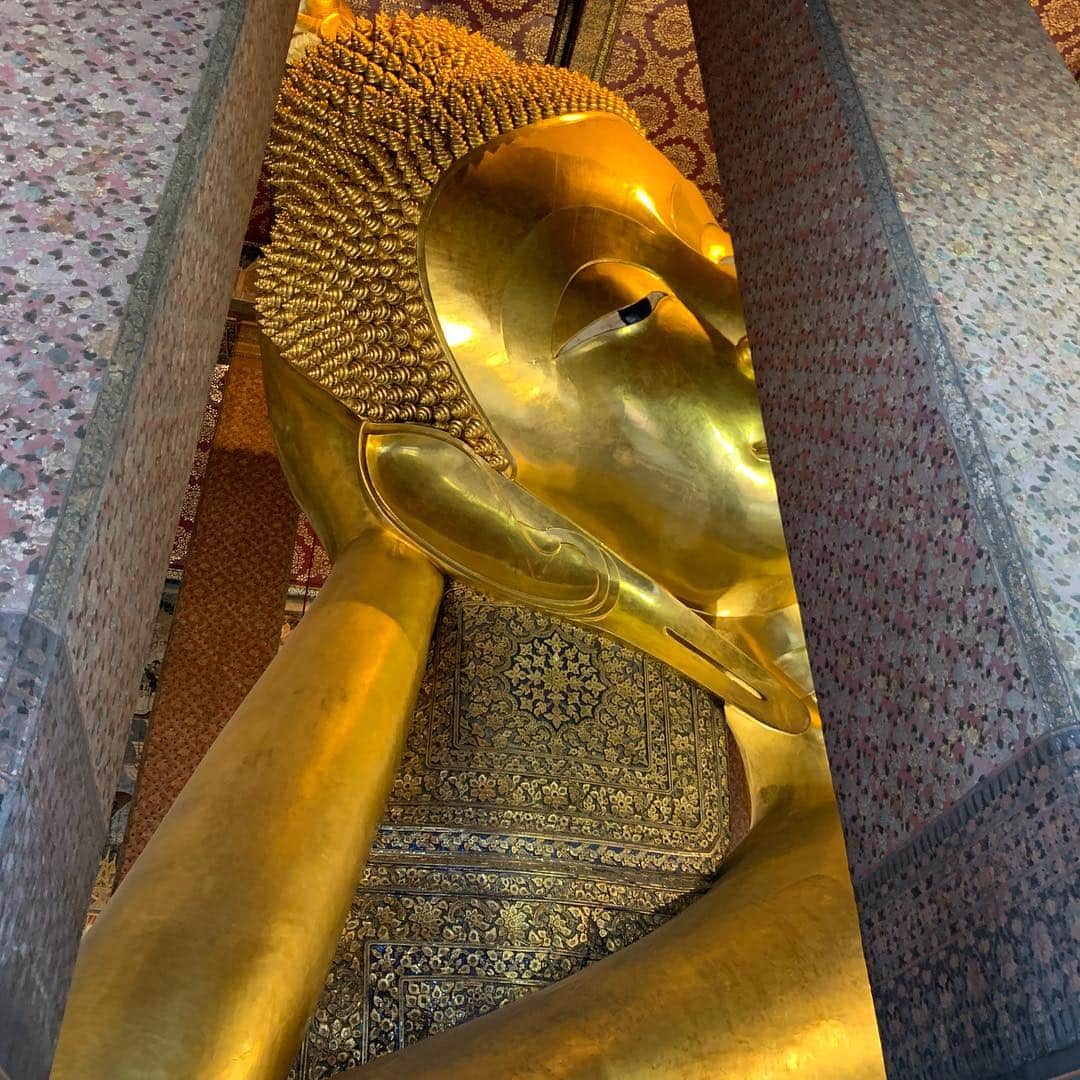 樋口葉生さんのインスタグラム写真 - (樋口葉生Instagram)「🧘🏻‍♂️」4月8日 14時24分 - haohiguchi