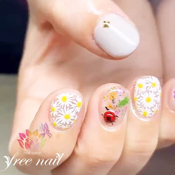 free nail フリーネイルのインスタグラム