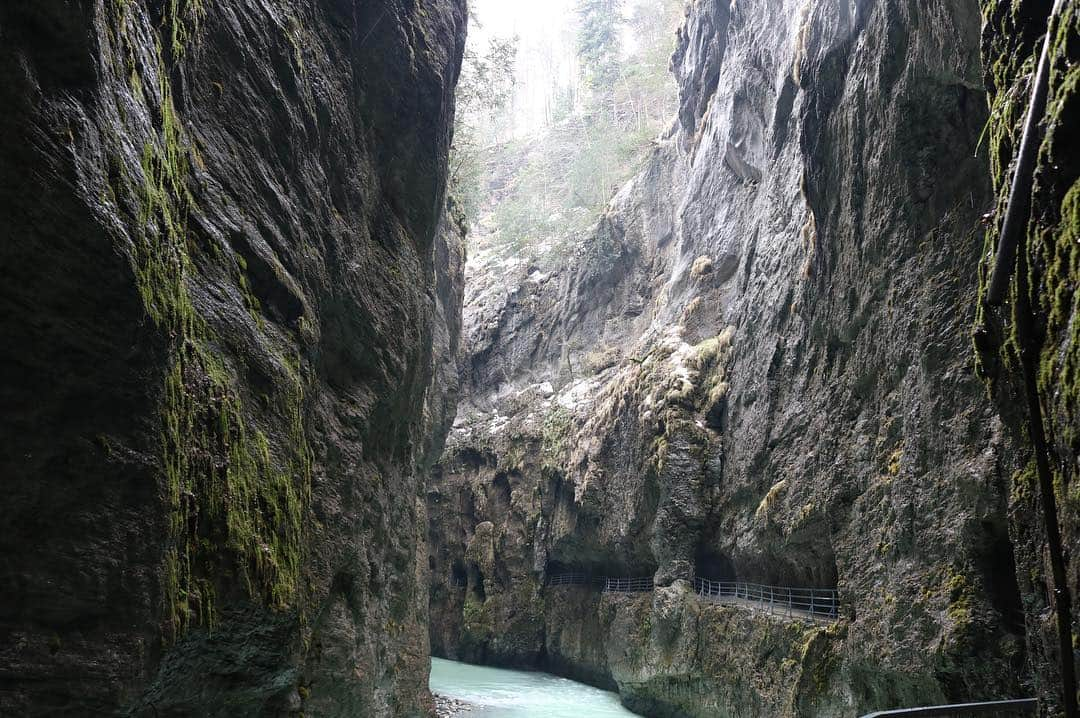 石松大晟さんのインスタグラム写真 - (石松大晟Instagram)「・﻿ スイス最終日は渓谷に散歩🚶‍♂️﻿ ﻿ ﻿ #meiringen #swiss #climbing #worldcup」4月8日 6時18分 - taiseiishimatsu