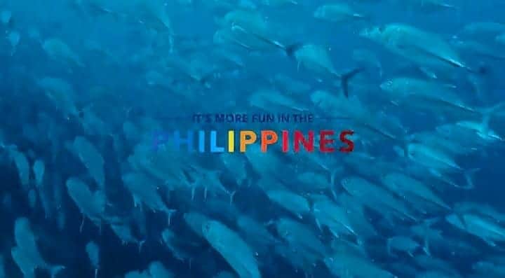 松坂南さんのインスタグラム写真 - (松坂南Instagram)「こちらも観光省さま映像より  #フィリピン観光省 #youtubeチャンネル  #フィリピンにいるサメの一部」4月8日 7時08分 - minami_matsuzaka