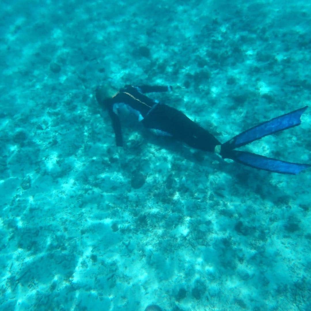 大下瞳美さんのインスタグラム写真 - (大下瞳美Instagram)「昨日4.7は宮古島海開きの日🐬  楽しい楽しい夏の始まりっ。  リトリートのみんなには、シュノーケル楽しんでもらったよー。  ８月組はスキンダイビングや船で出かけてステキなスポットに行くよ🏃‍♀️ 今日から沖縄本島移動✈️ #summer #miyakojima#skindiving #シュノーケルツアー#beachwear #yogaretreat #supyogaretreat #島暮らし#海好き#beachgirl #roxygirl #roxyjapan#beachlife #宮古島サップヨガ#広島#suryoga#水着」4月8日 7時37分 - hitomiooshita