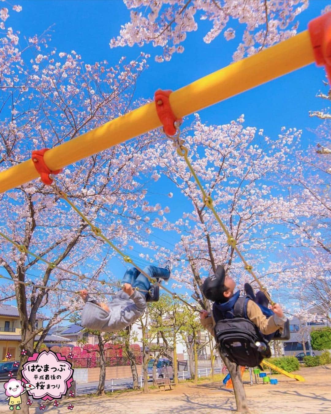 はなまっぷ❁日本の花風景さんのインスタグラム写真 - (はなまっぷ❁日本の花風景Instagram)「🍃🌸はなまっぷ平成最後の桜まつり🌸🍃 * @__sorasora__ さんの 平成の桜に花まるを💮 * 平成を彩る日本の美しい桜をありがとうございます😊🌸🍃 * 埼玉 Saitama Pref. * 見頃を過ぎている場所もご紹介しています。 お出かけの際はHP等で最新の情報をご確認くださいね🙏🌸🍃 * 🌸•••🍃•••🌸•••🍃•••🌸•••🍃•••🌸 * 🌸桜まつり概要🌸 * 期間:平成最後の日まで タグ:#はなまっぷ * #はなまっぷ  のタグの中から、桜のお写真をどんどんご紹介させていただきます。期間中はランダムに、複数枚投稿でもご紹介させていただく場合がございます。 * #桜#sakura#花見#さくら#日本#春#花#平成最後の#満開#公園#ブランコ * 🌸•••🍃•••🌸•••🍃•••🌸•••🍃•••🌸 * はなまっぷより * 💌LINEスタンプ「はなまっぷちゃん」絶賛発売中！みなさんのLINEにも花まるを💮 💌はなまっぷ本、Amazonや全国の書店さんで満開です！ぜひお手にとっていただけると嬉しいです🌸 * LINEスタンプ、はなまっぷ本は、プロフ欄記載のTwitterアカウントよりご確認ください。 * 🌸•••🍃•••🌸•••🍃•••🌸•••🍃•••🌸 *」4月8日 8時22分 - hanamap