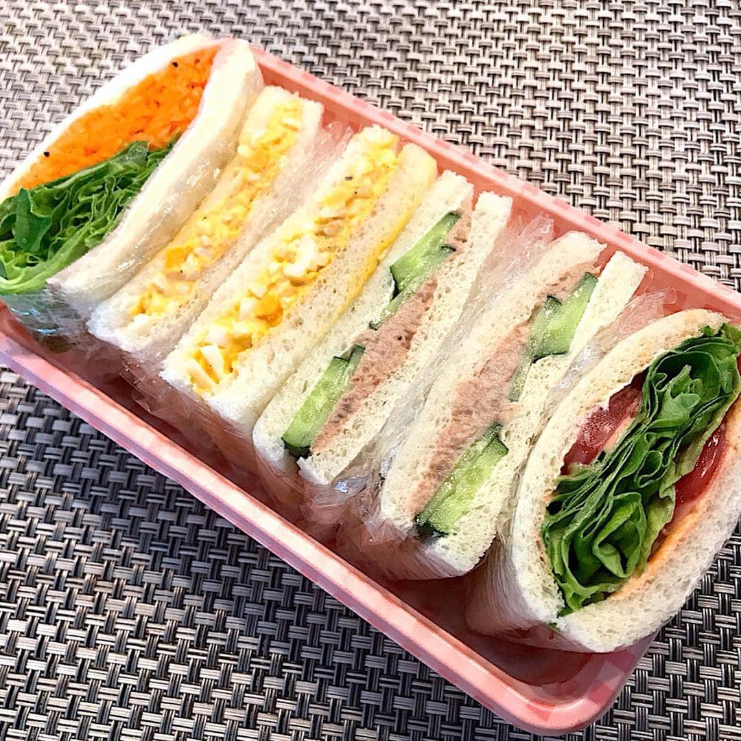 原史奈さんのインスタグラム写真 原史奈instagram もうそろそろお花見も終わりかな 葉桜になっていたけどひらひらと舞う桜は美しい サンドイッチ弁当作ってお花見 お花見 サンドイッチ お弁当 久々に作った 穴場見つけた 外で食べるとまた美味しい 風に舞う桜が