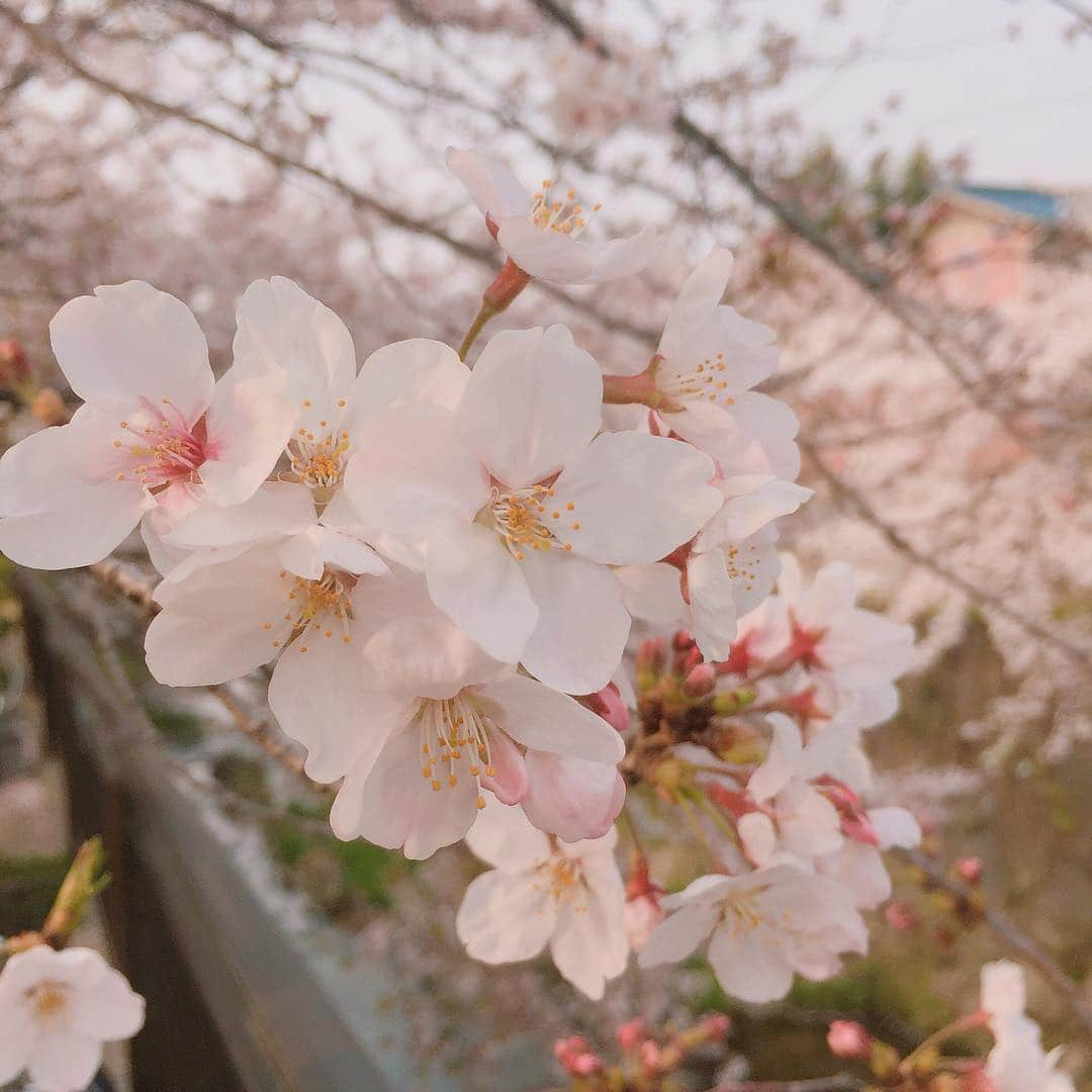 坂東亀三郎のインスタグラム