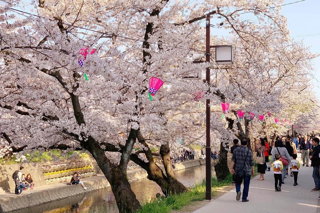 JAPANのインスタグラム