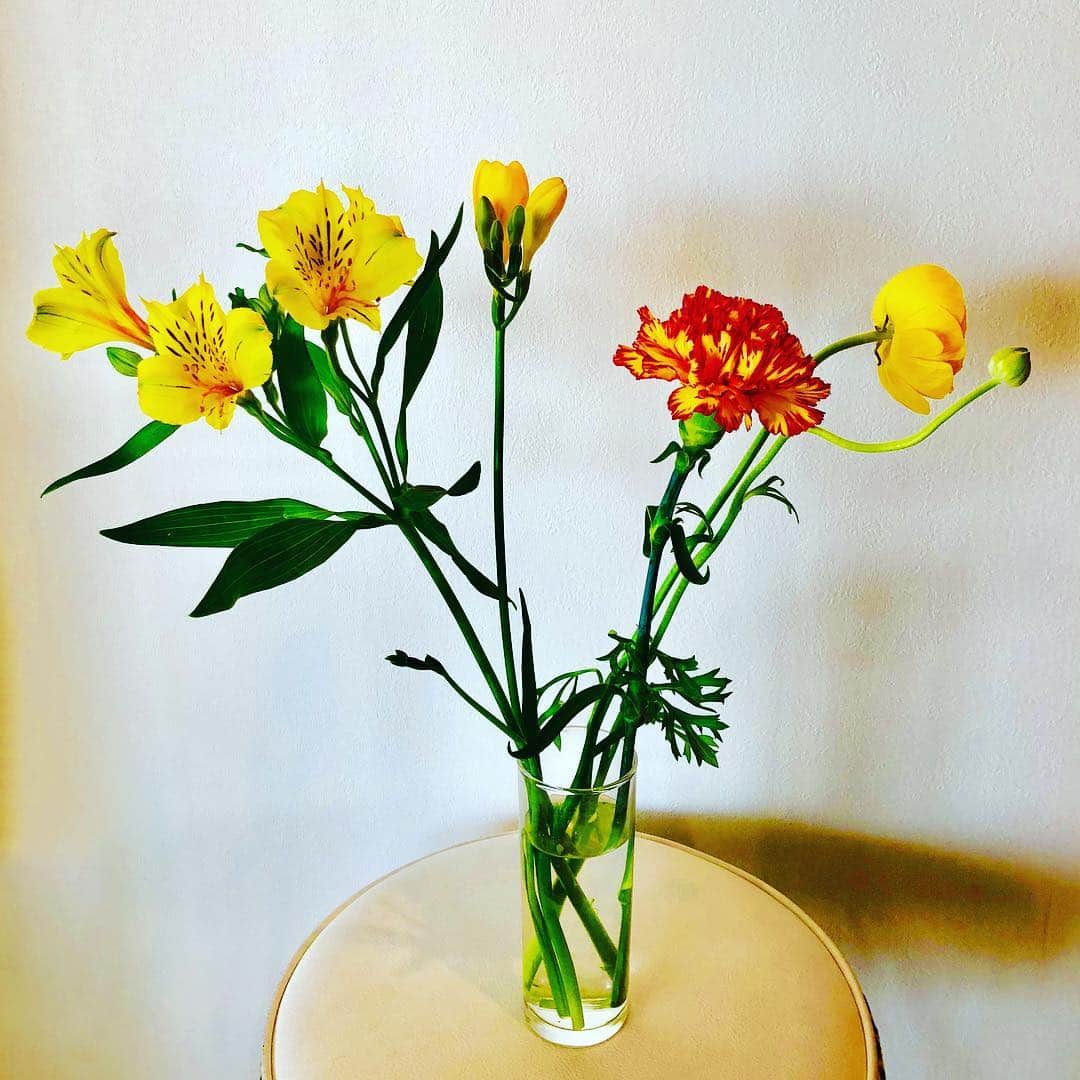 夏木マリさんのインスタグラム写真 - (夏木マリInstagram)「おはようございます！  今日は花祭り、お釈迦様の誕生日 お祝いだ、、、 今日もよいスタートを〜  #おはようシリーズ #goodmorning  #お花シリーズ #OneofloveプロジェクトGIG #6.18 #happymonday  #natsukirock  #marinatsuki #Corona #私を生きて #夏木マリ」4月8日 9時00分 - mari_natsuki
