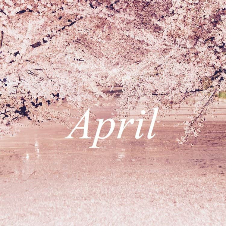 金ケ江悦子さんのインスタグラム写真 - (金ケ江悦子Instagram)「* 4月。 満開の桜とともに【ご報告】。 ・ ・ この春から大学院に通うことになりました。 ・ 年始に掲げていた新たな挑戦です。 学びを得て、人生をより豊かに そして私のビジョンである “美の力で人々を幸せにする” ことでもっと社会に貢献できるように。 ・ ・ わからない事をわからないと言える“素直さ”を大切に 自分らしく一歩一歩 楽しんで学びを深めていきたいと思っています。 ・ ・ #キャンコレ生よ #えっちゃん先生 #学生になります #仕事との両立  #大学院生 #ご報告」4月8日 9時08分 - etsuko_kanagae
