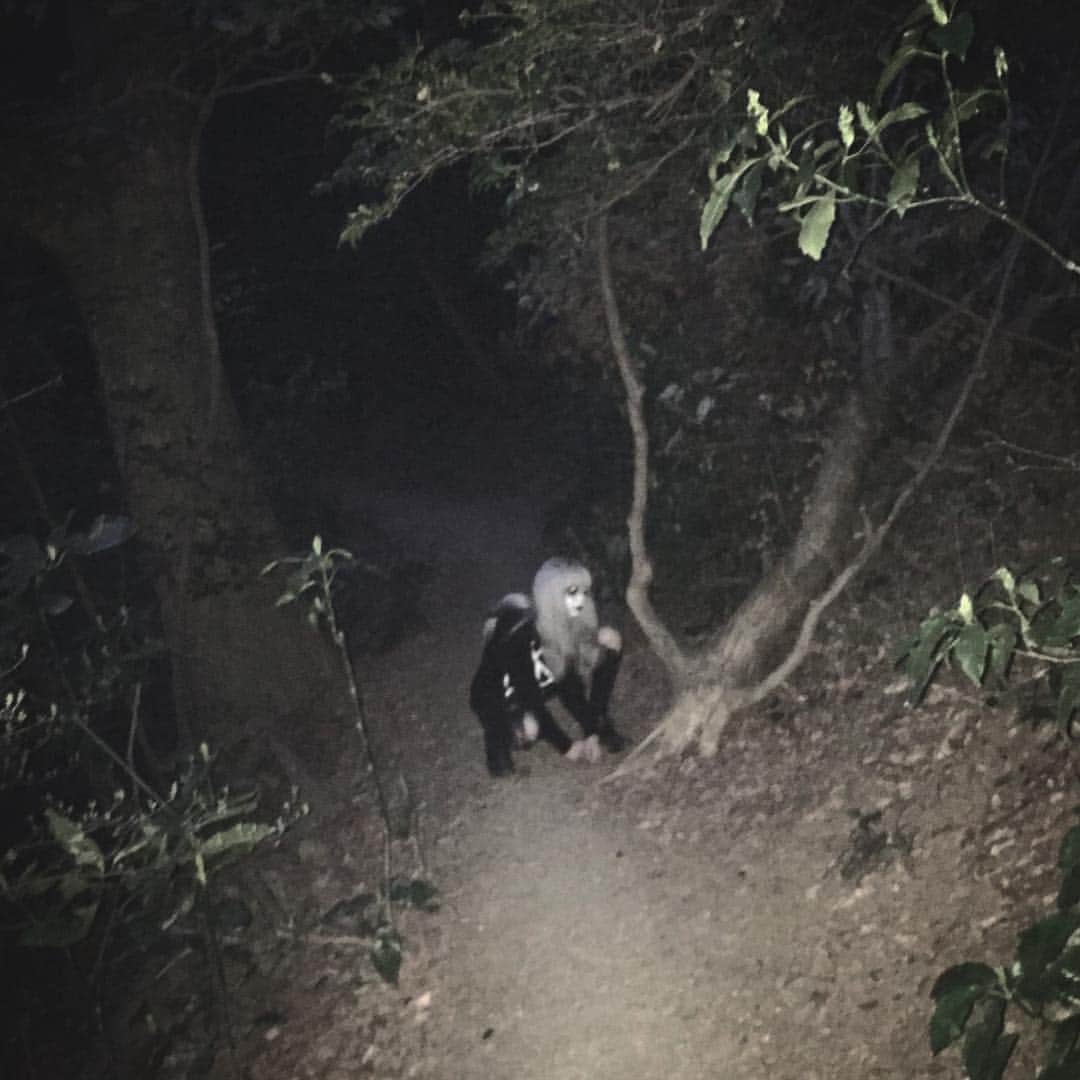フィン・ポンペルモさんのインスタグラム写真 - (フィン・ポンペルモInstagram)「I’m ghost」4月8日 9時05分 - signorpompelmo