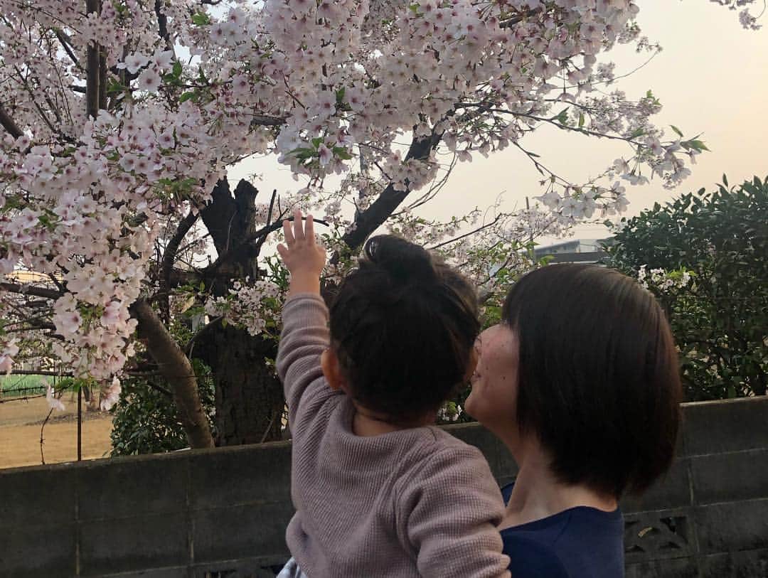 近藤千尋さんのインスタグラム写真 - (近藤千尋Instagram)「昨日はいつもの第三の実家へ 行ってきました🥰笑 かなママのご飯いただいて かなベビーに癒されて💕 新生児可愛すぎて🤦🏼‍♀️🤦🏼‍♀️🤦🏼‍♀️ 近所で桜も見れたけど もう葉桜になってきたね🍃🥺 今週も頑張りましょう☺️💕」4月8日 9時10分 - chipichan.1215