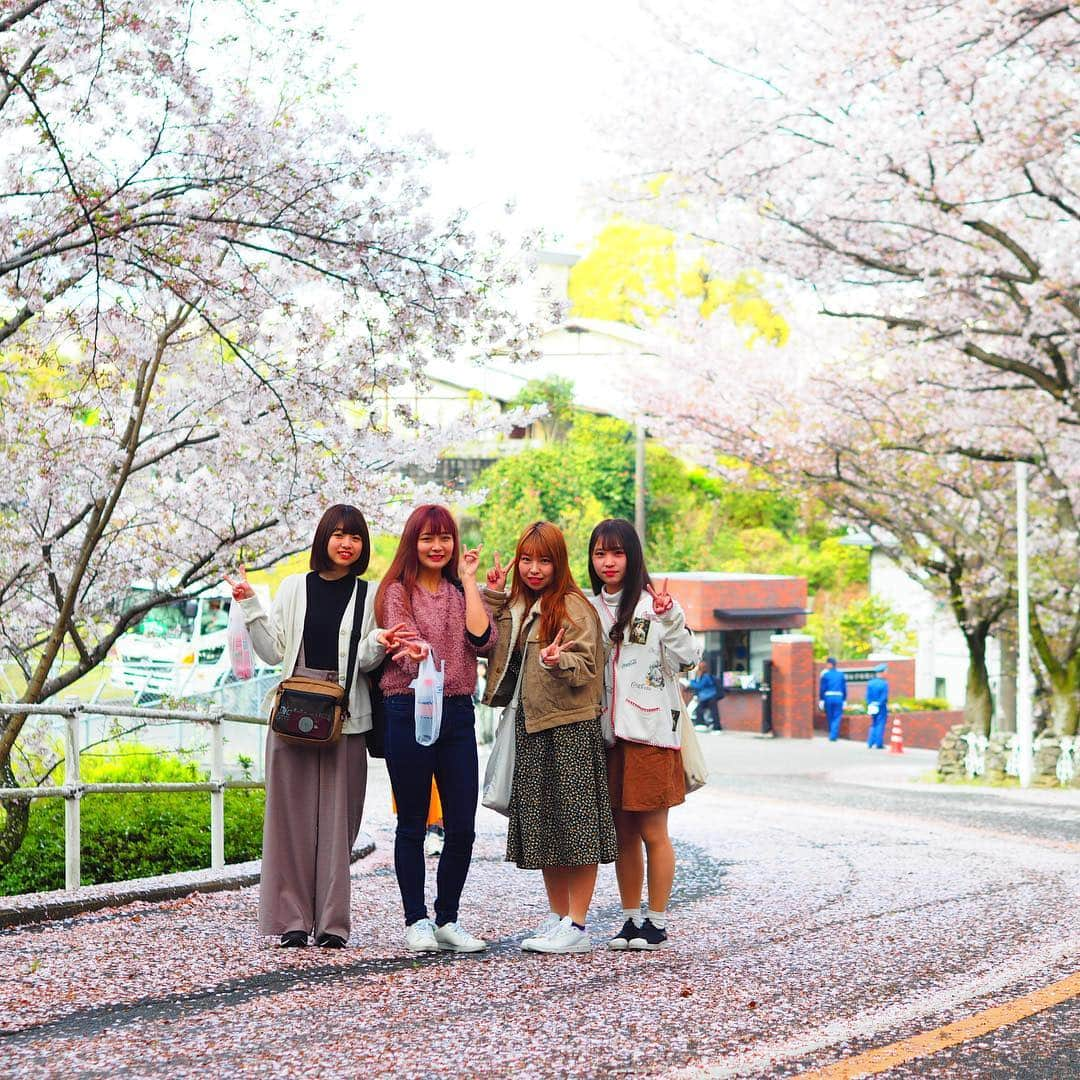 福岡女子短期大学さんのインスタグラム写真 - (福岡女子短期大学Instagram)「＠福岡女子短期大学 今朝の通学風景です🚲桜の花びら🌸がキャンパスまでピンク色 に染めています🎀 . 遊歩道の工事が本学的にはじまり、福女短生はピンクに染まった坂道をキャンパスに向かっていきます。 . 今週も一週間頑張りましょう🌟 . #福岡女子短期大学　#福女短　#通学　#4月8日　#太宰府　#新入生　#新1年生　#新入学生　#月曜日　#スナップショット #スナップ写真　#桜　#葉桜　#コーデ　#学校　#キャンパスライフ　#大学 #女子大生　#写真好きな人と繋がりたい　#春コーデ　#4月 #短大生 #さくら　#大学生コーデ　#スナップ #街角スナップ #福女短スナップ #おしゃれさんと繋がりたい #福女短2019桜 . ========[ 資料請求 ]======== ． 福岡女子短期大学の資料請求（大学案内・入試要項など）を無料送付中です。お気軽に申し込みください。 . 子ども学科/健康栄養学科 音楽科/文化教養学科 ． 福岡女子短期大学 住所：‪福岡県太宰府市五条四丁目16番1号‬ tel：‪092-922-4034‬（代表）」4月8日 9時24分 - fukuoka_wjc